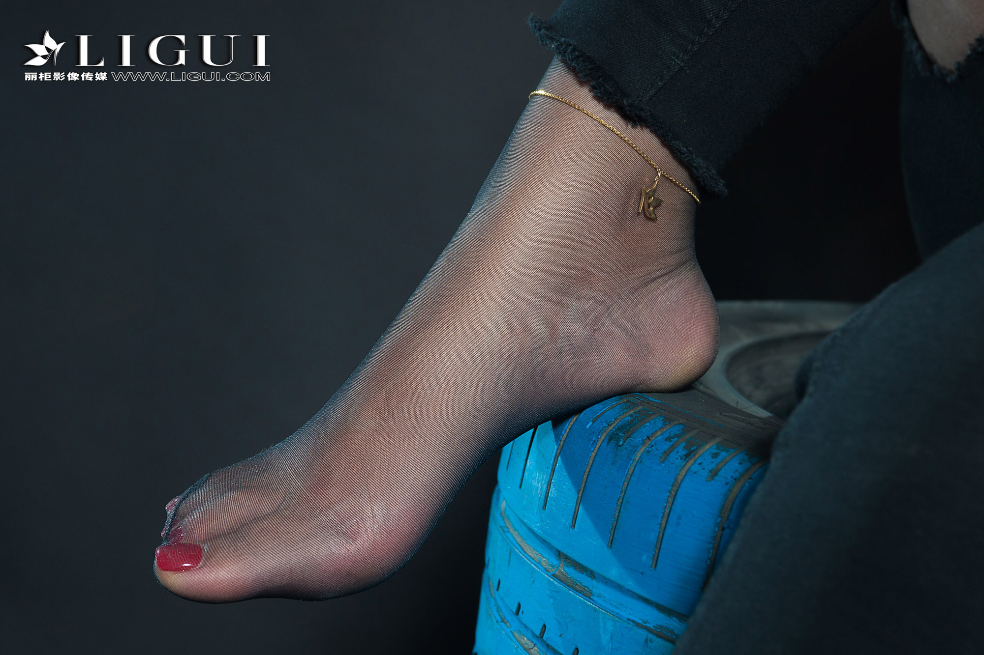 [Ligui丽柜] 2018.11.14 网络丽人 Model 赵维拉