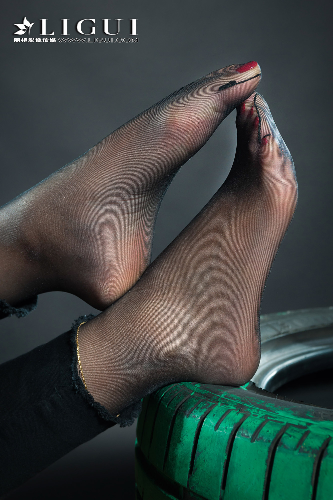 [Ligui丽柜] 2018.11.14 网络丽人 Model 赵维拉