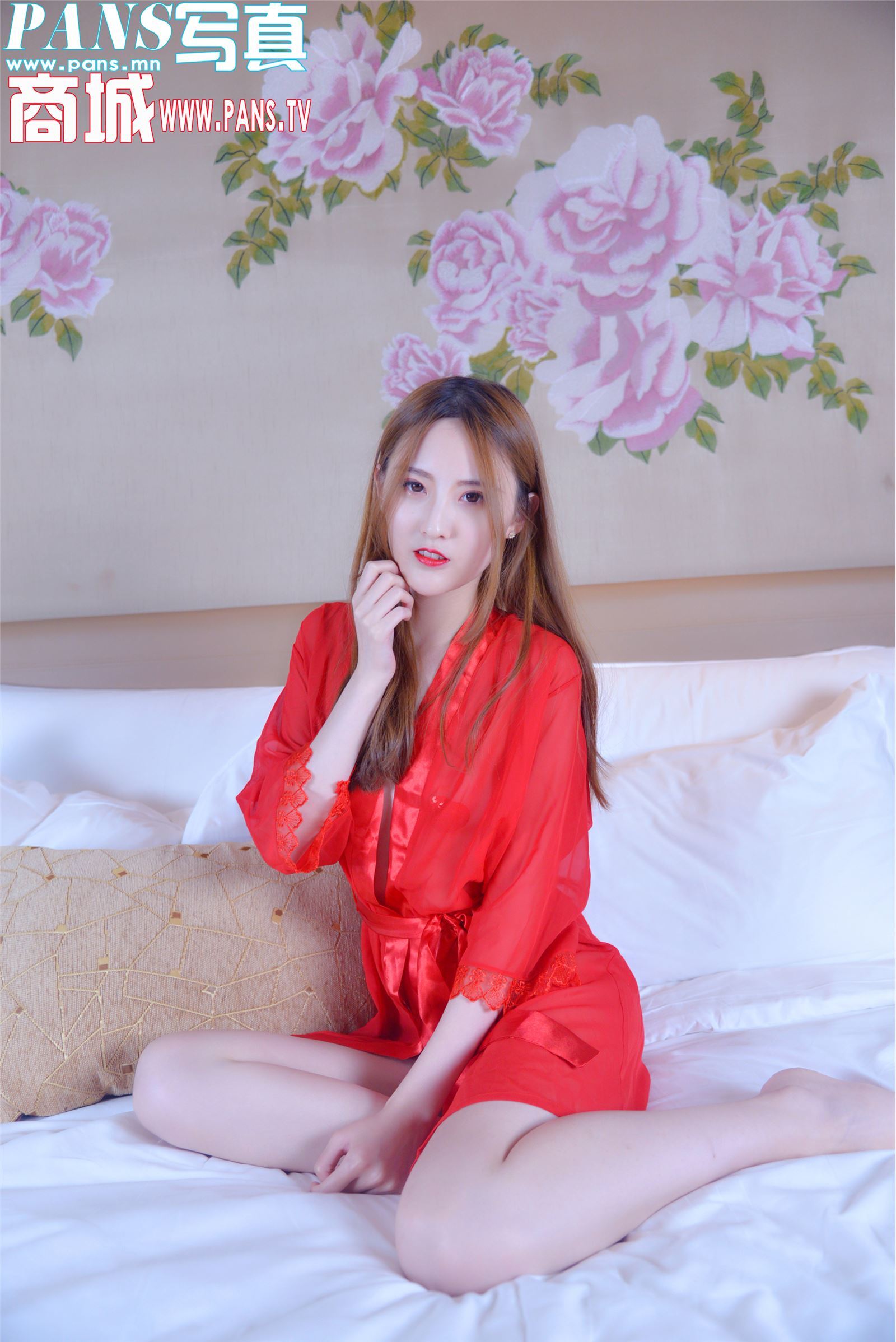 [PANS写真]2018.02.17 NO.911 狐狸