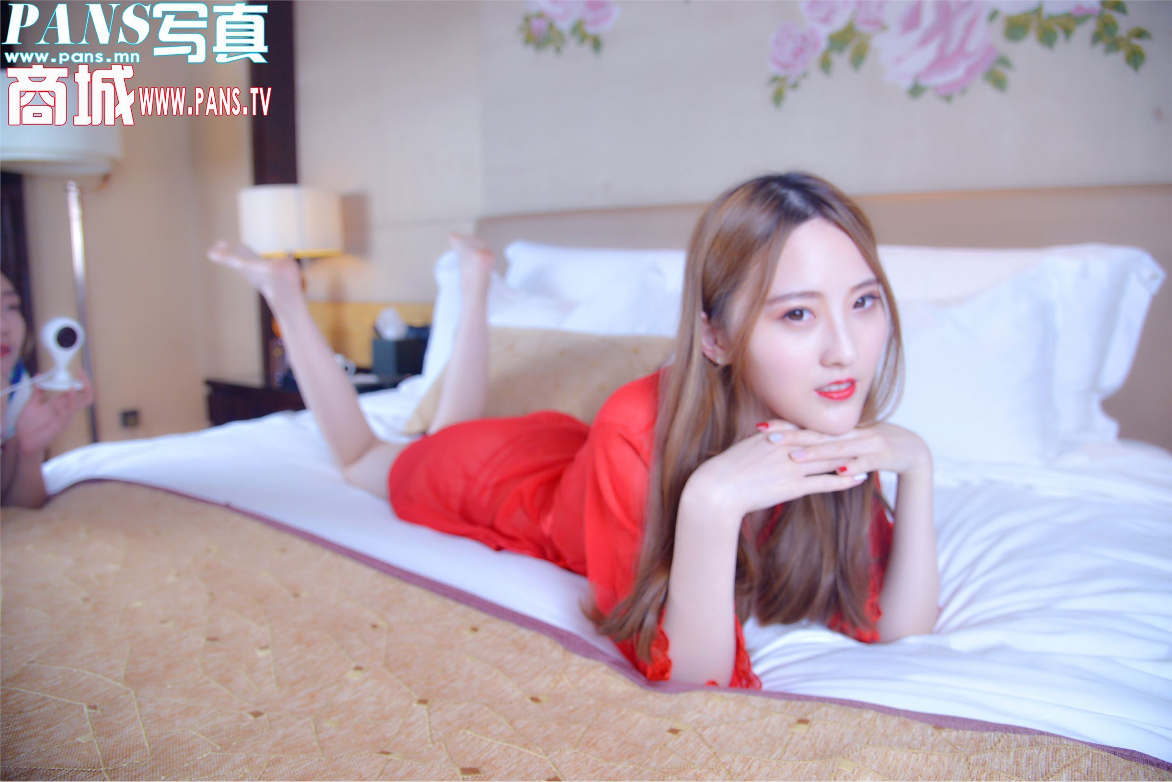 [PANS写真]2018.02.17 NO.911 狐狸