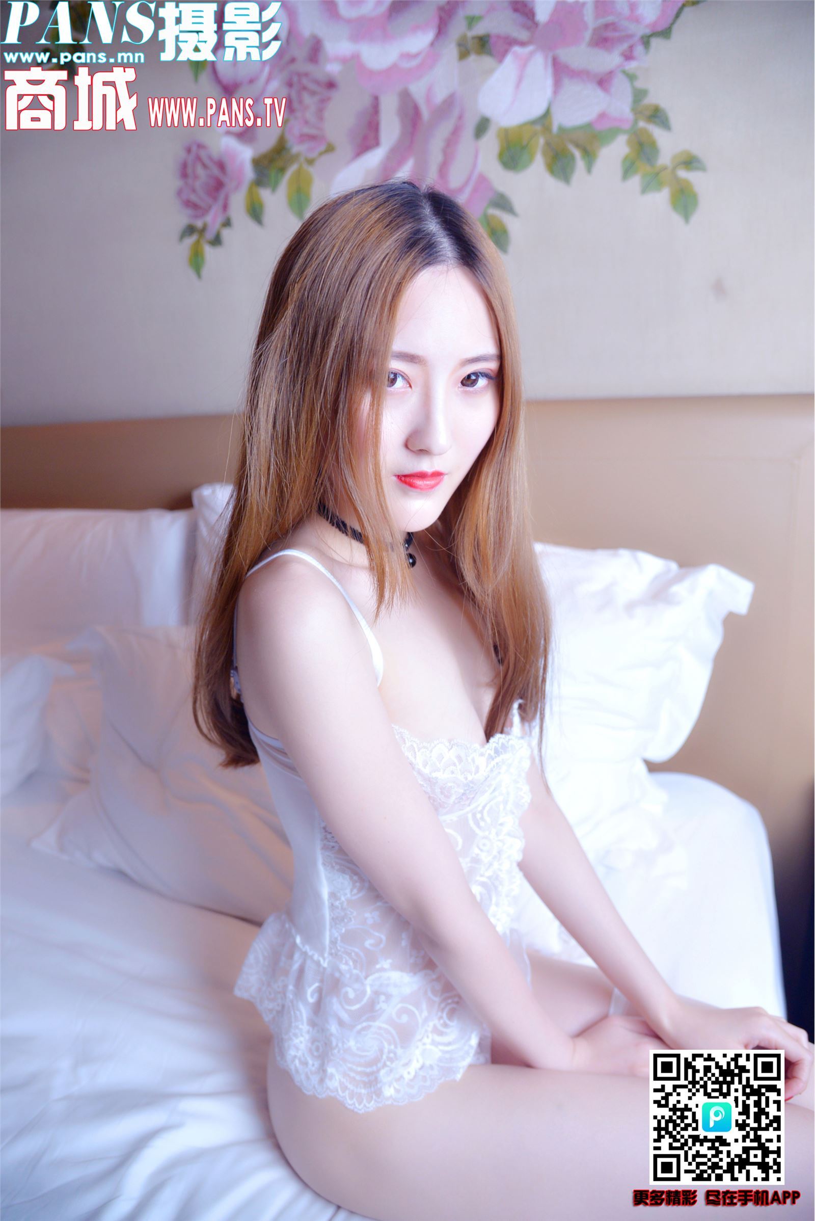 [PANS写真]2018.07.04 NO.982 狐狸