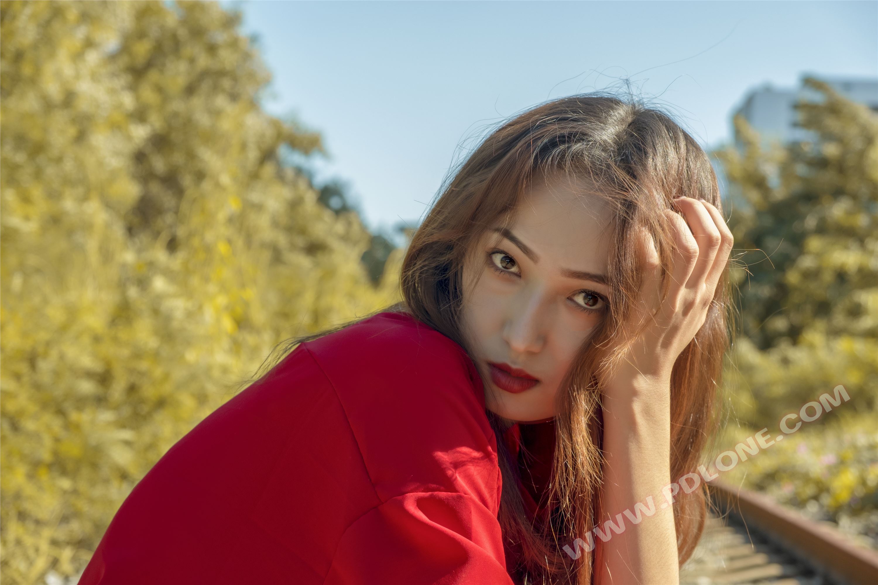 [PDL潘多拉]2018.12.07 NO.290