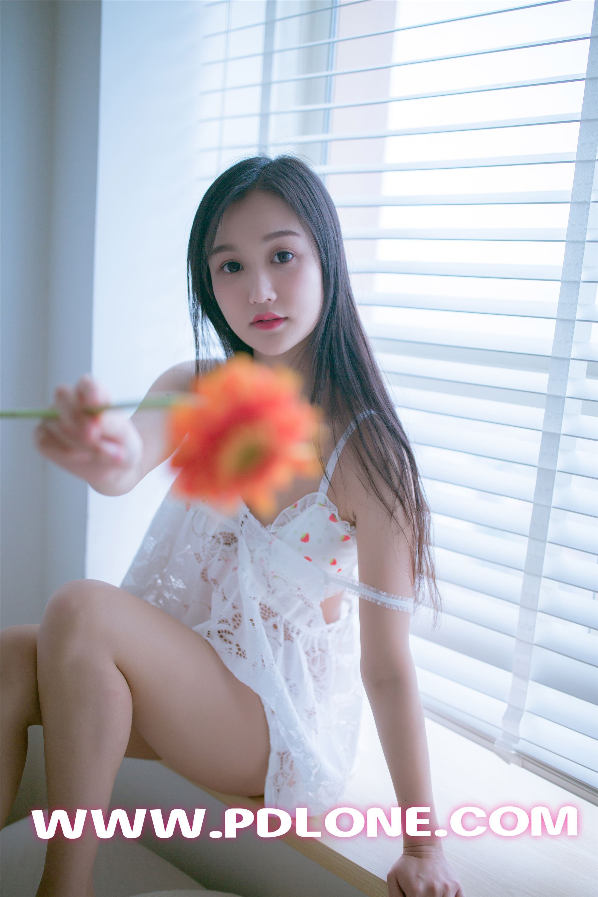 [PDL潘多拉] 2019.05.24 NO.404