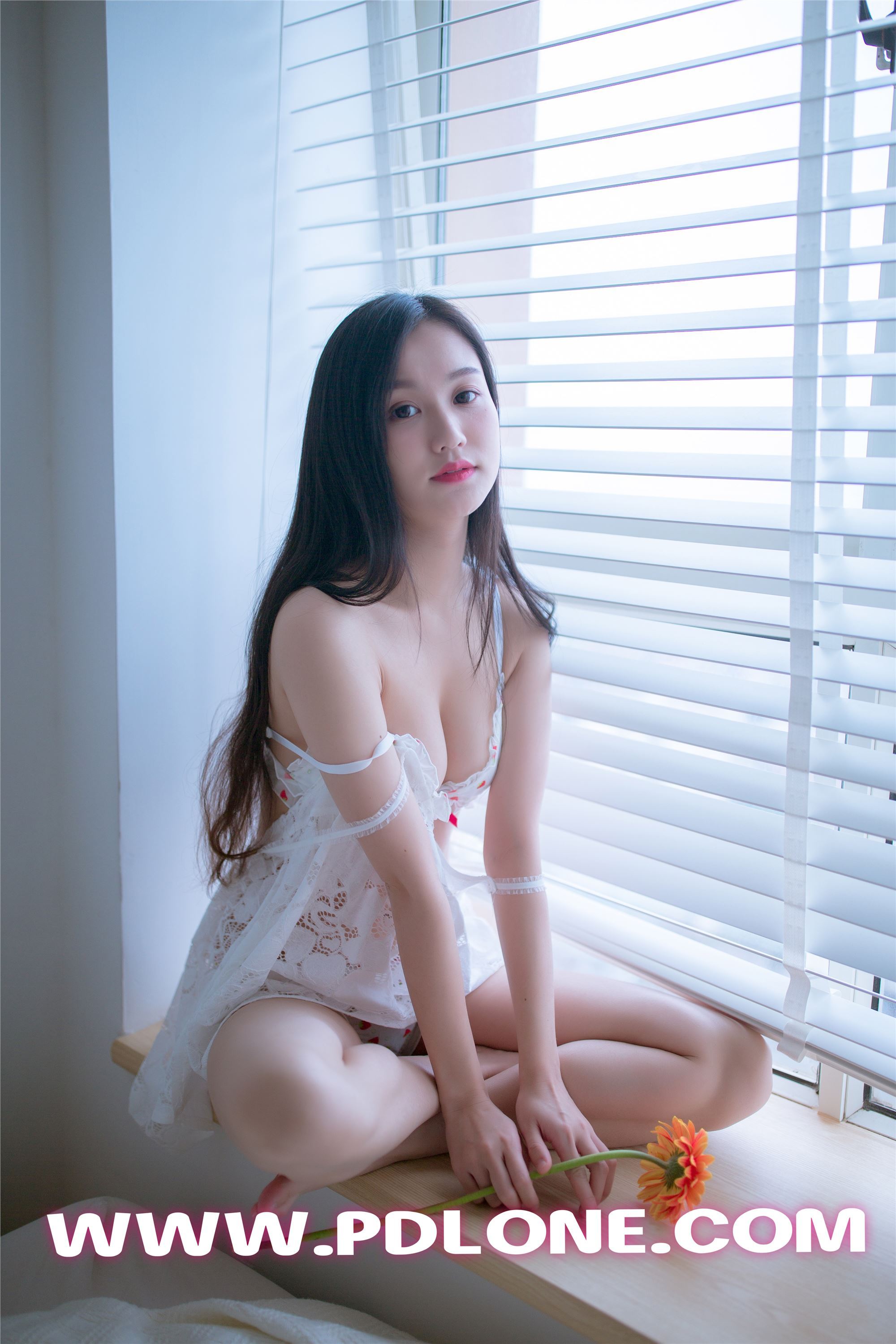 [PDL潘多拉] 2019.05.24 NO.404