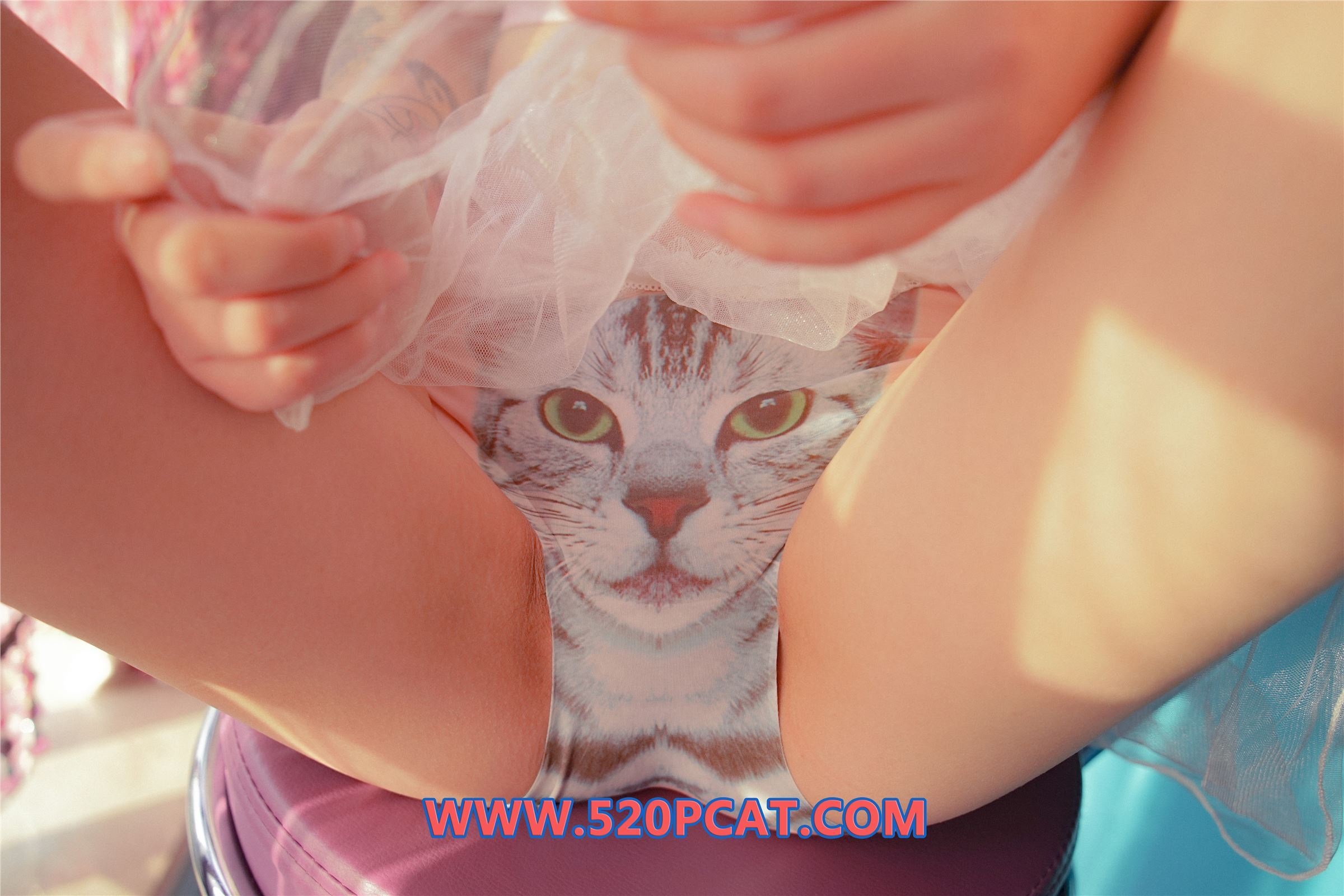 [PartyCat轰趴猫]2017.12.14 Vol.020 七七