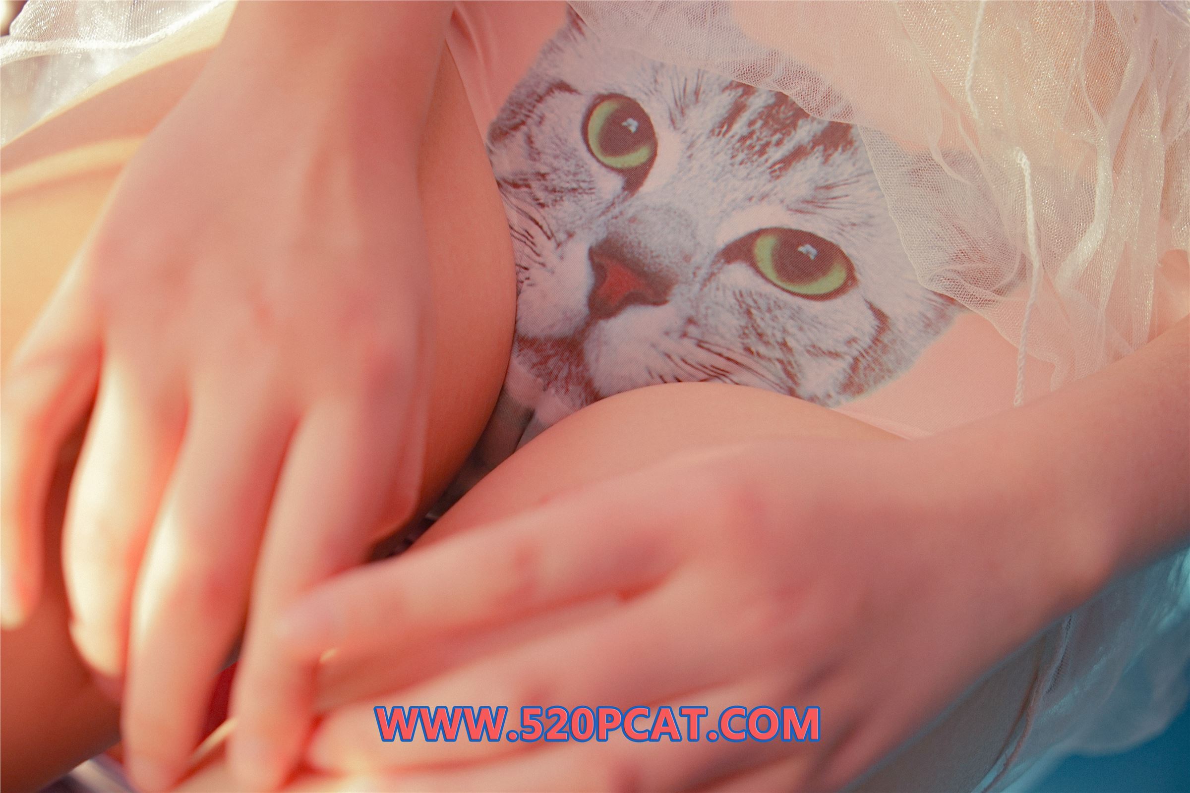 [PartyCat轰趴猫]2017.12.14 Vol.020 七七