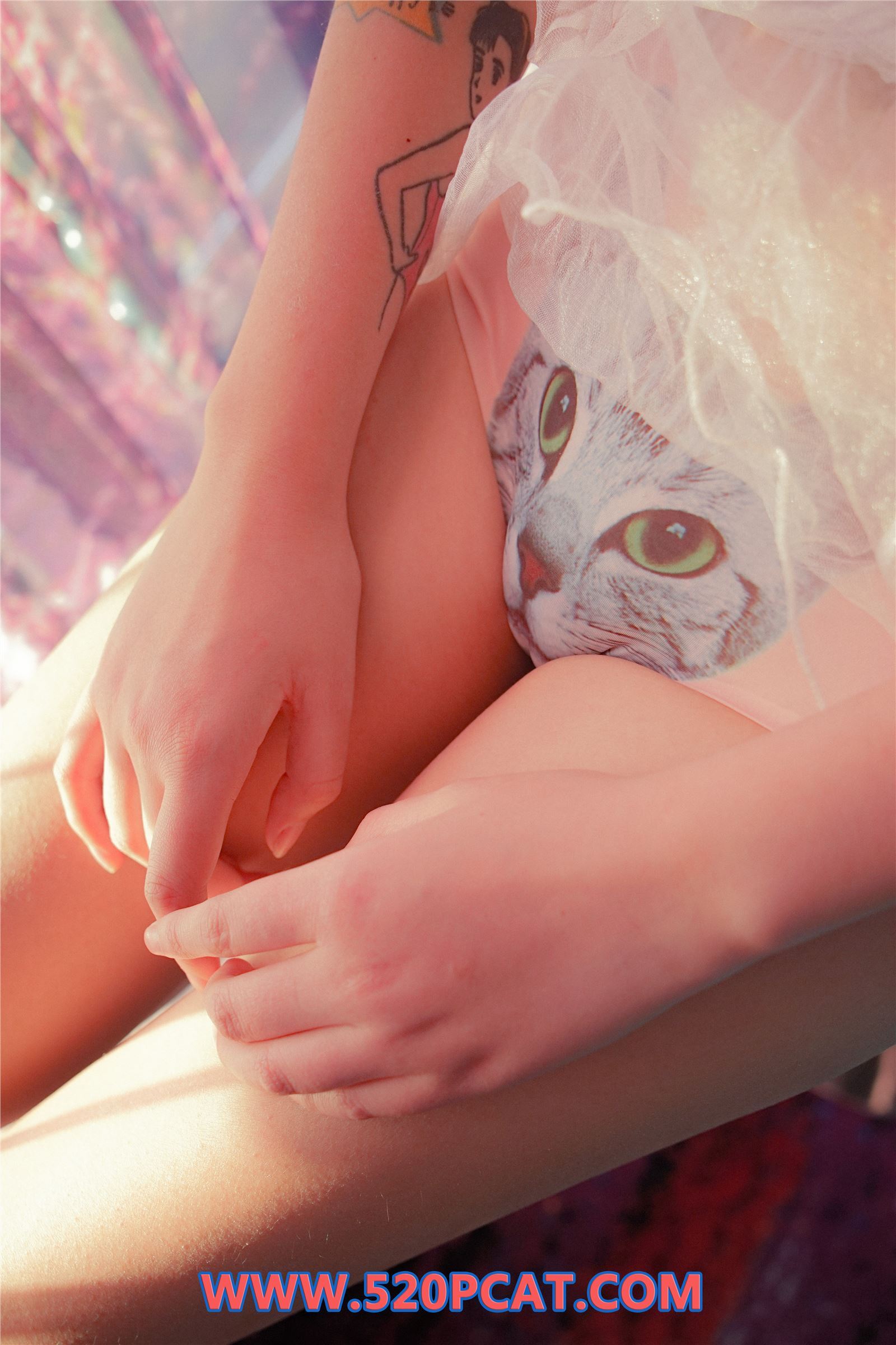 [PartyCat轰趴猫]2017.12.14 Vol.020 七七