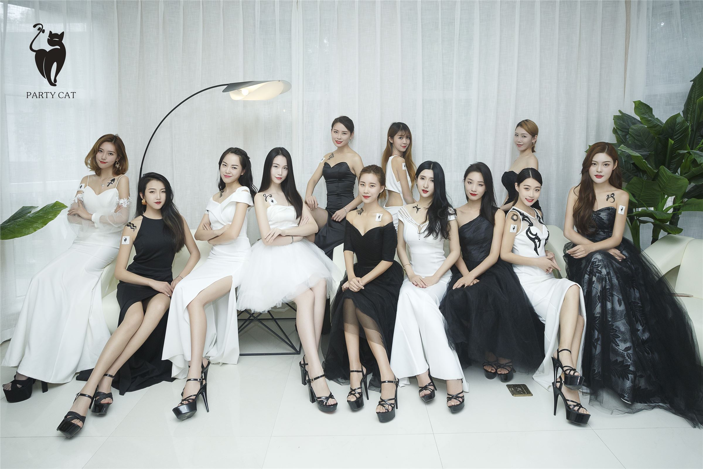 [PartyCat轰趴猫]2017.11.07 Vol.002 楠哥