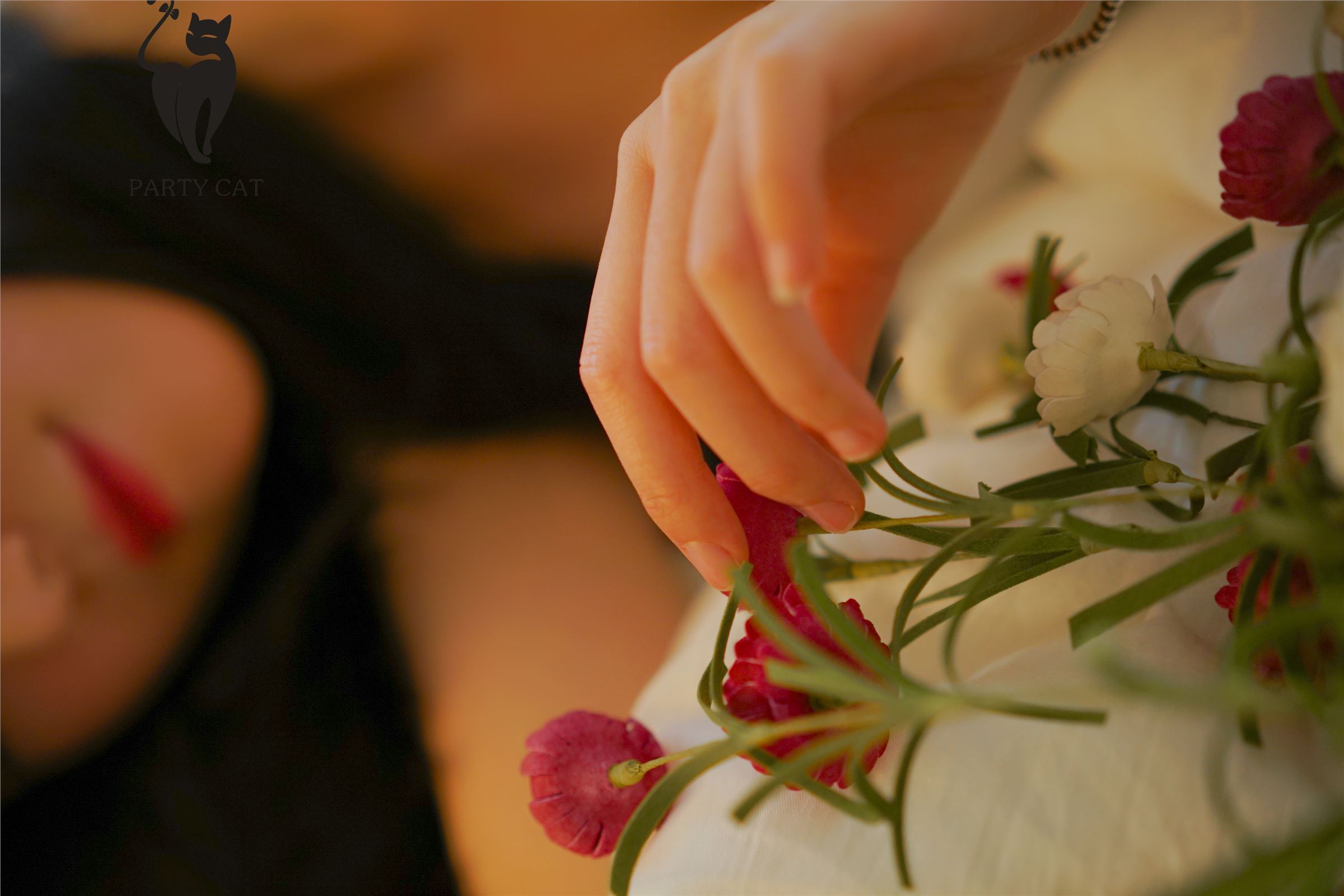 [PartyCat轰趴猫]2017.11.12 Vol.006 楠哥