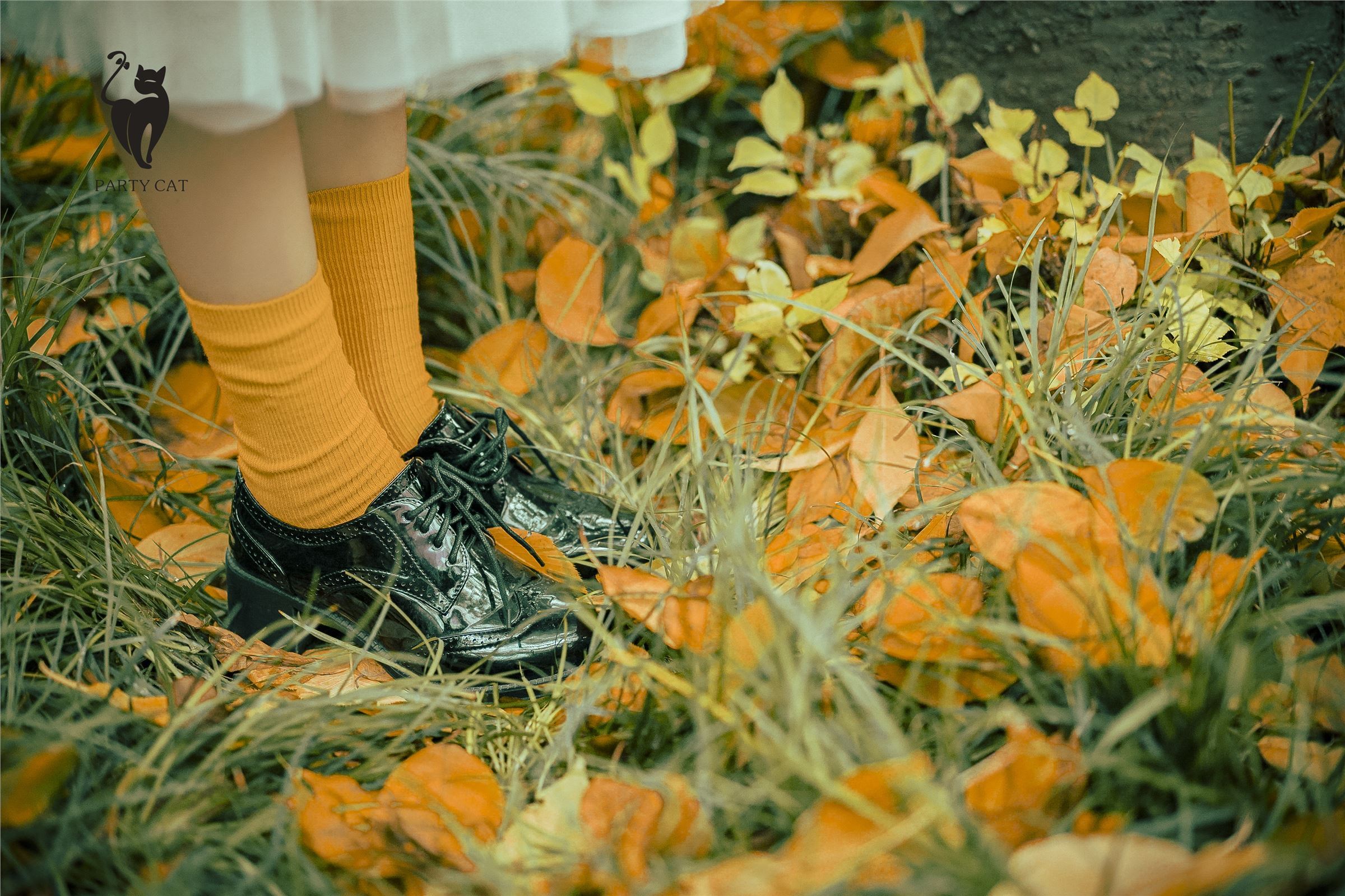 [PartyCat轰趴猫]2017.11.13 Vol.007 曲曲