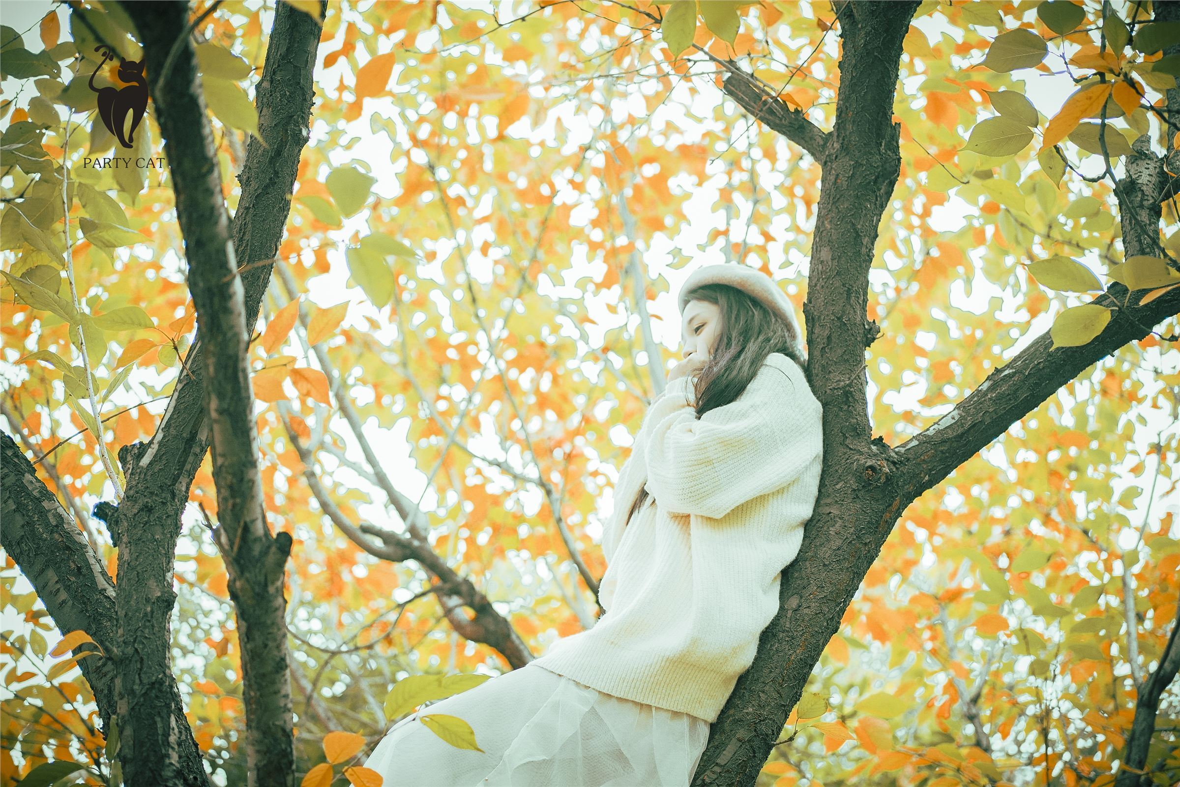 [PartyCat轰趴猫]2017.11.13 Vol.007 曲曲