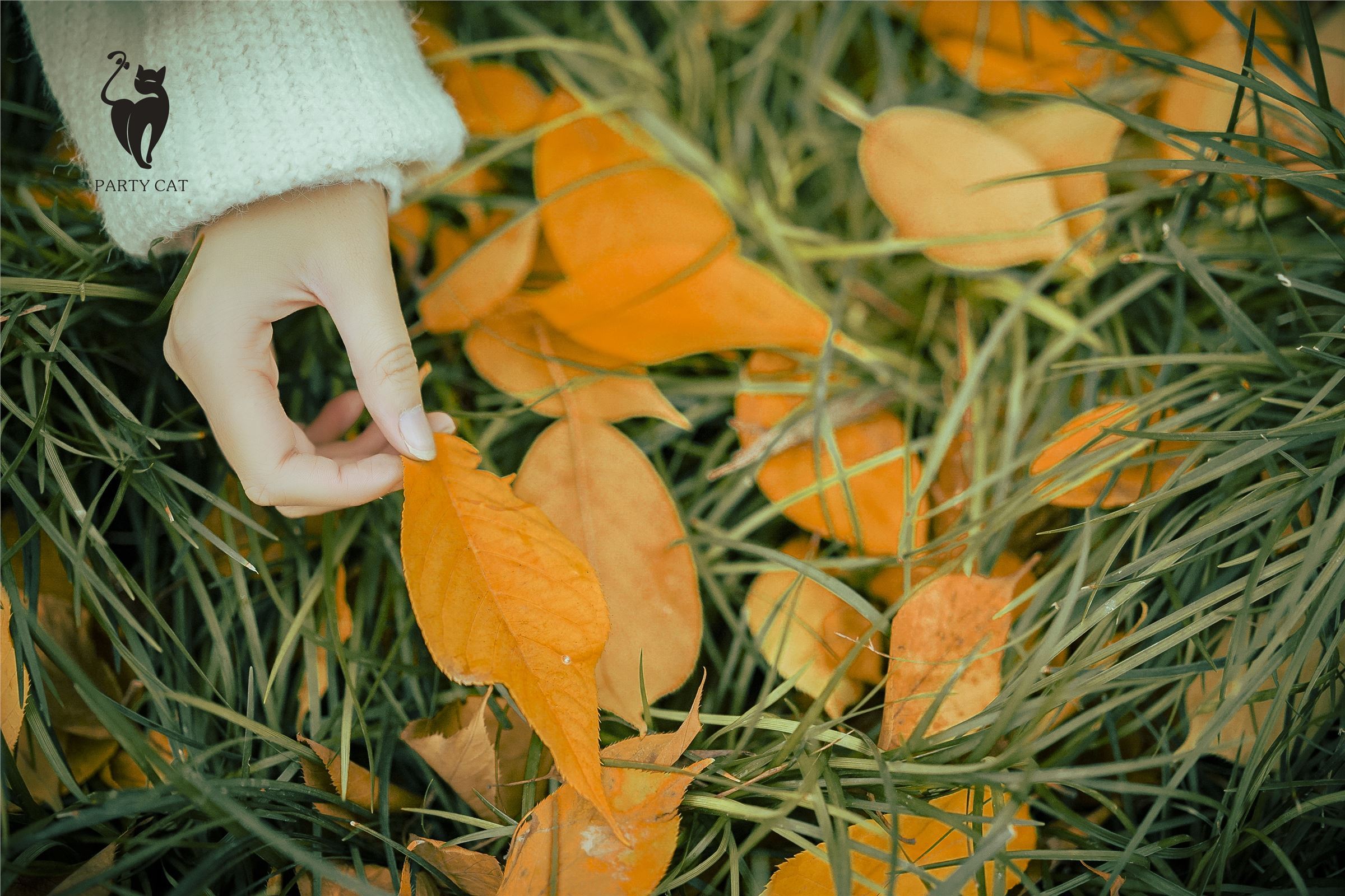 [PartyCat轰趴猫]2017.11.13 Vol.007 曲曲