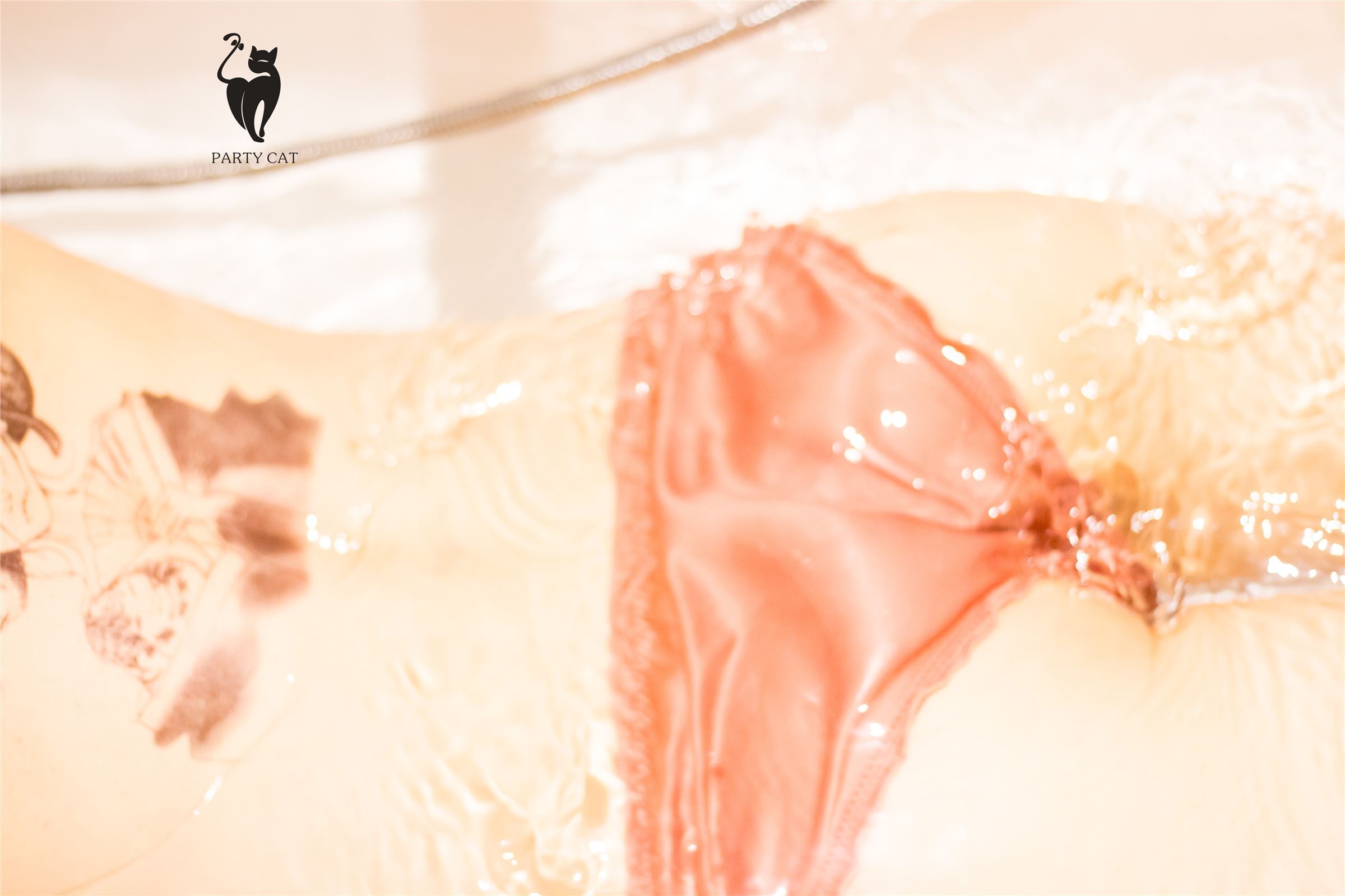 [PartyCat轰趴猫]2018.01.22 Vol.047