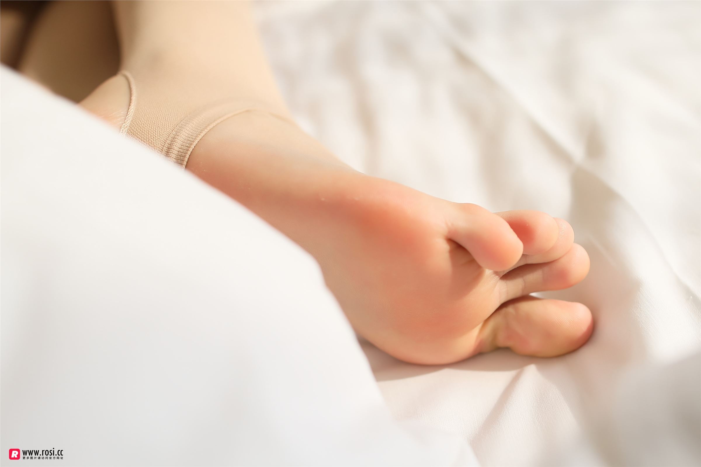 [ROSI写真] 2018.10.30 NO.2519