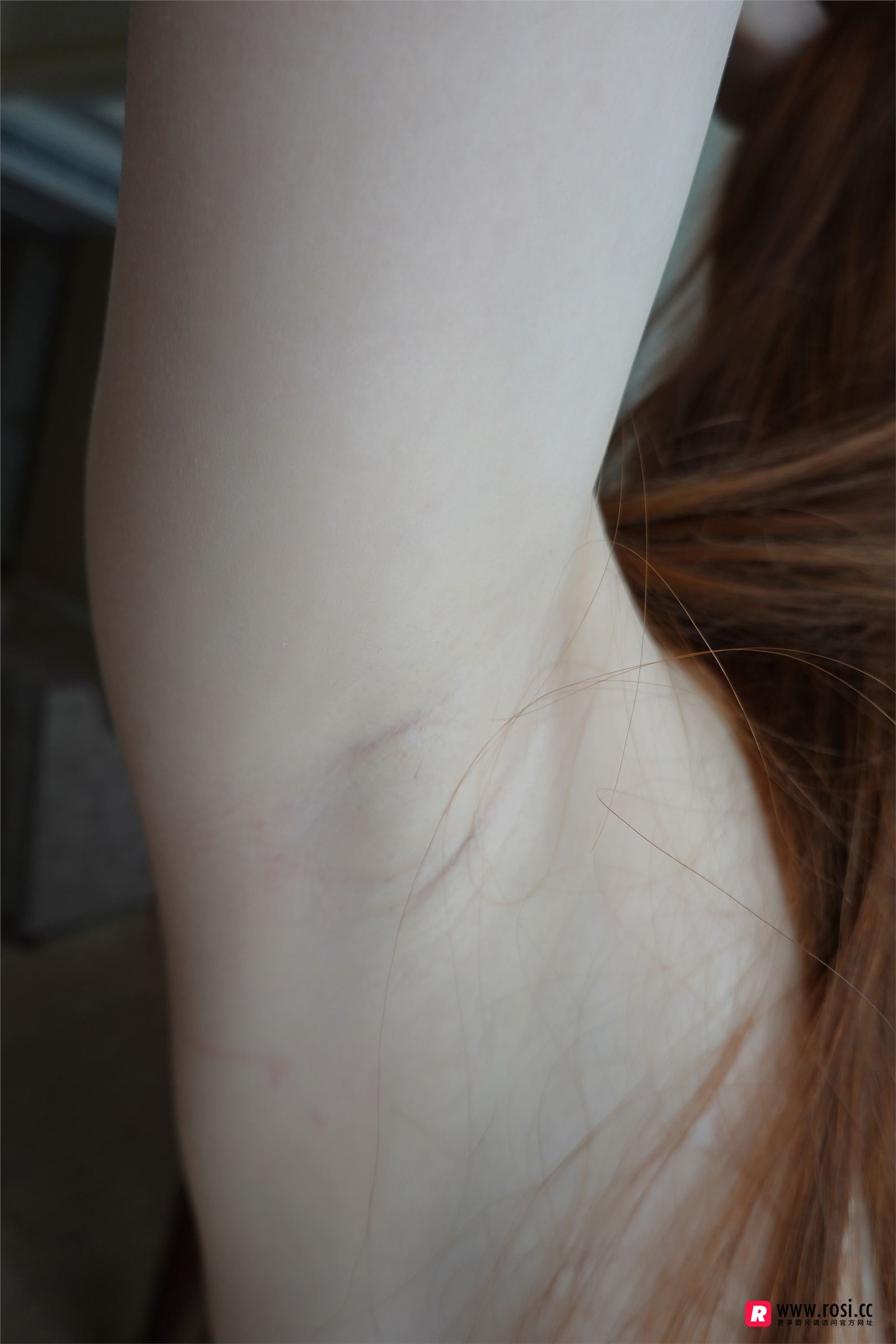 [ROSI写真]2018.12.18 NO.2568