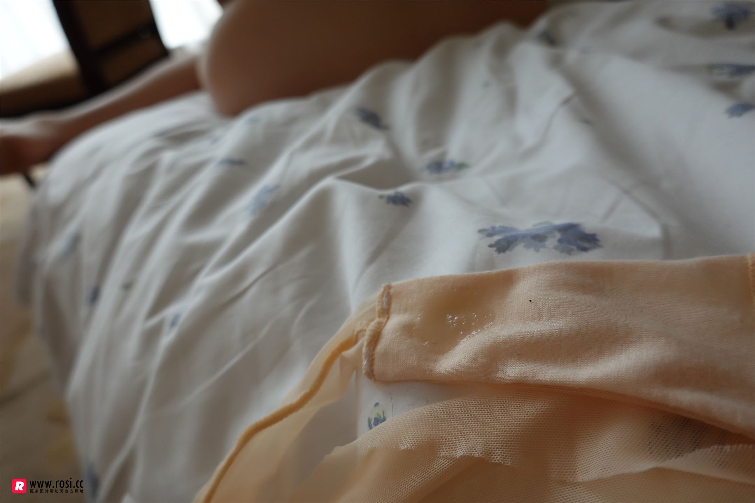 [ROSI写真] 2018.12.30 NO.2580