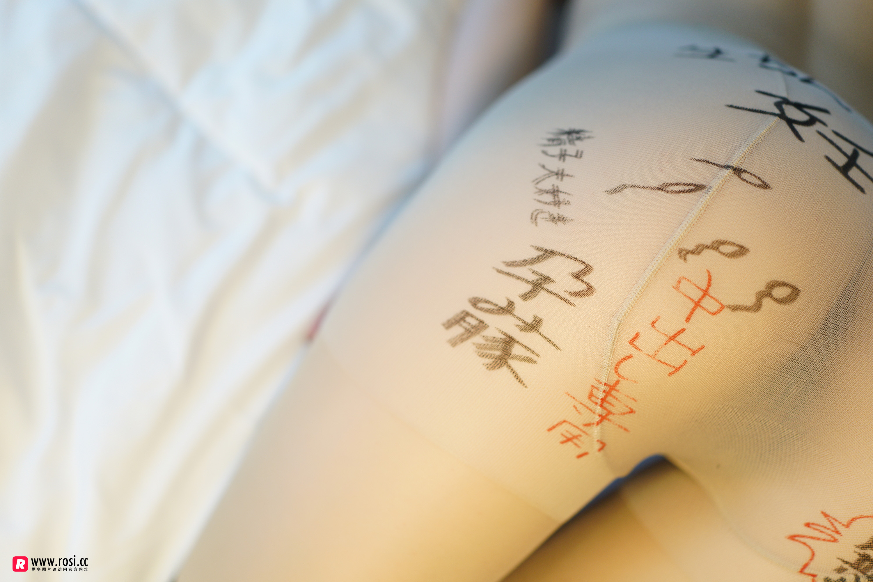 [ROSI写真]2019.01.22 NO.2603