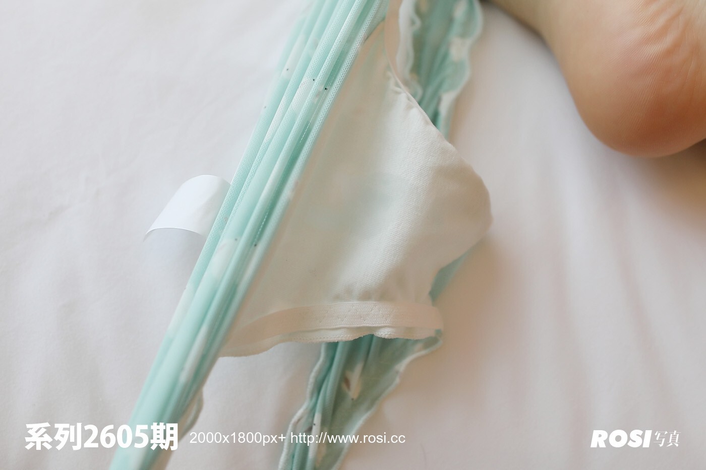 [ROSI写真]2019.01.24 NO.2605