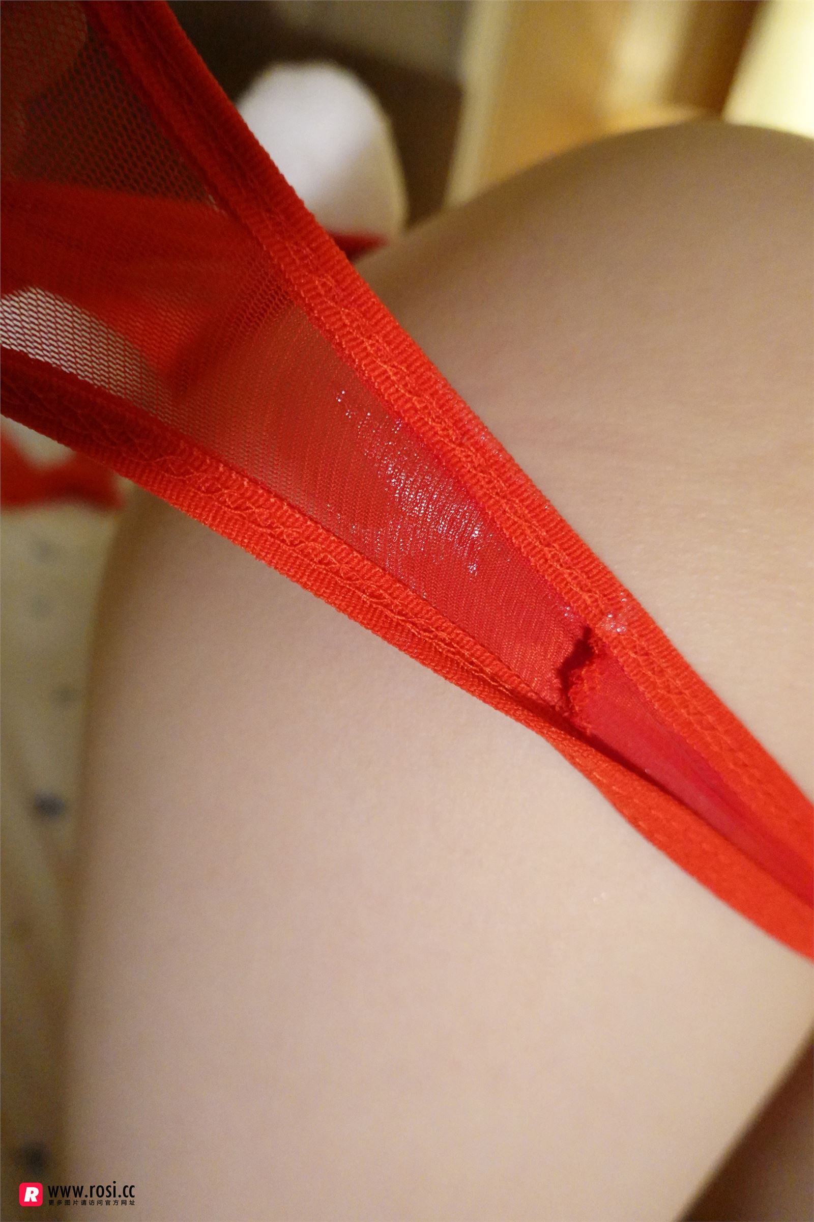 [ROSI写真集]No.2523