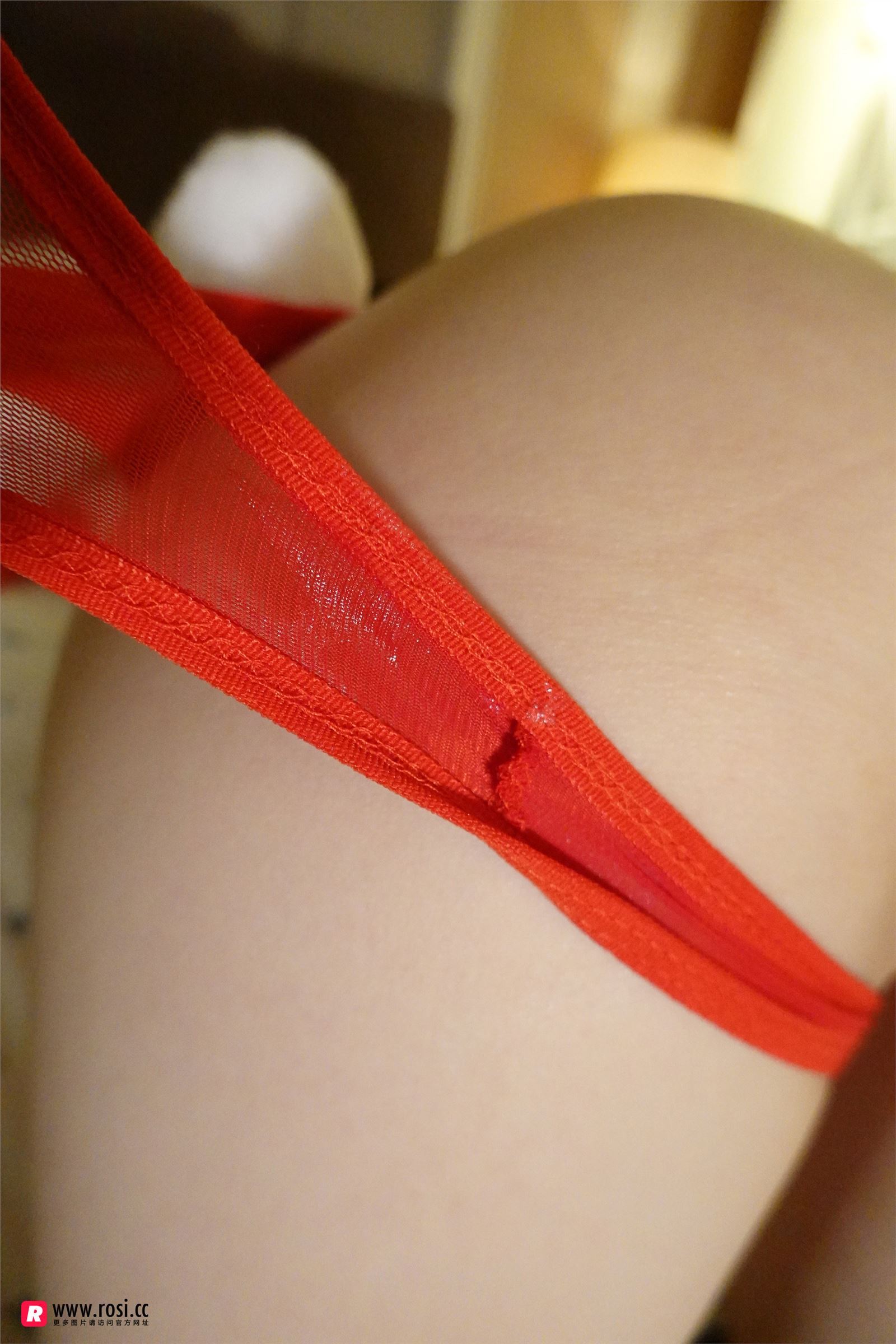 [ROSI写真集]No.2523