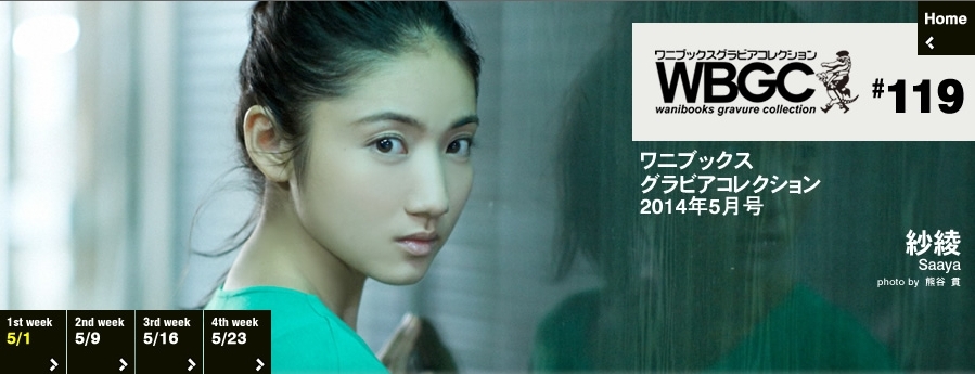 Wanibooks.WBGC-No.119-SaayaIrie紗綾