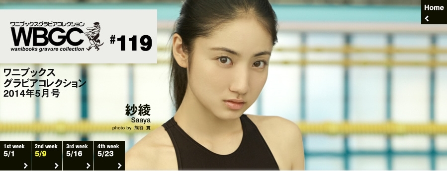 Wanibooks.WBGC-No.119-SaayaIrie紗綾
