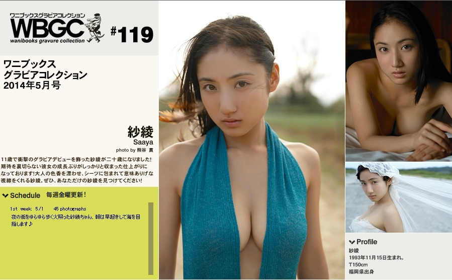Wanibooks.WBGC-No.119-SaayaIrie紗綾