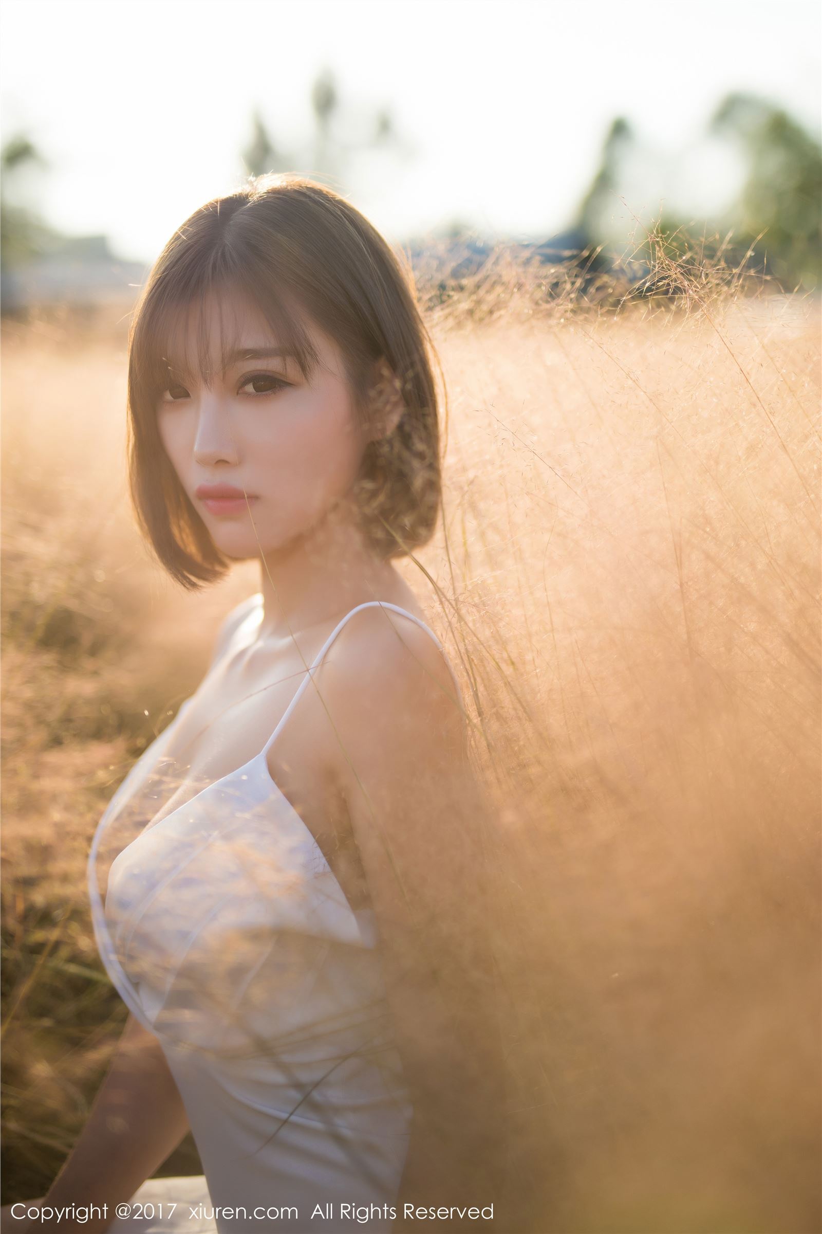 [XIUREN秀人网]2017.11.08 No.847 杨晨晨sugar