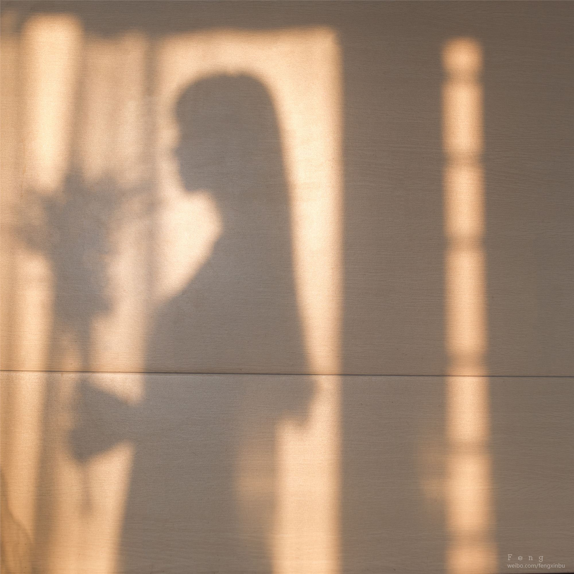 风之领域 美女图片写真 046