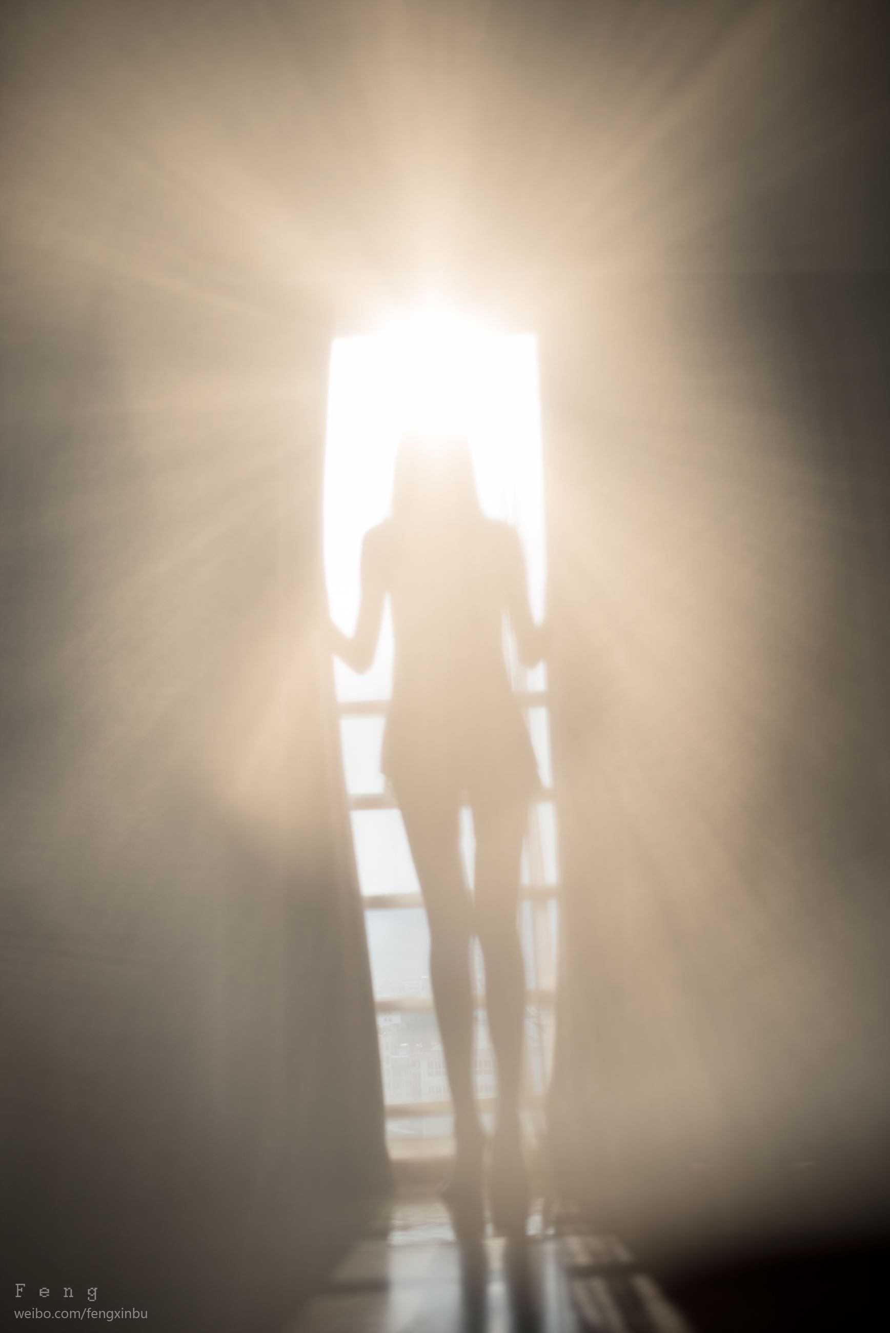 风之领域 美女图片写真 046