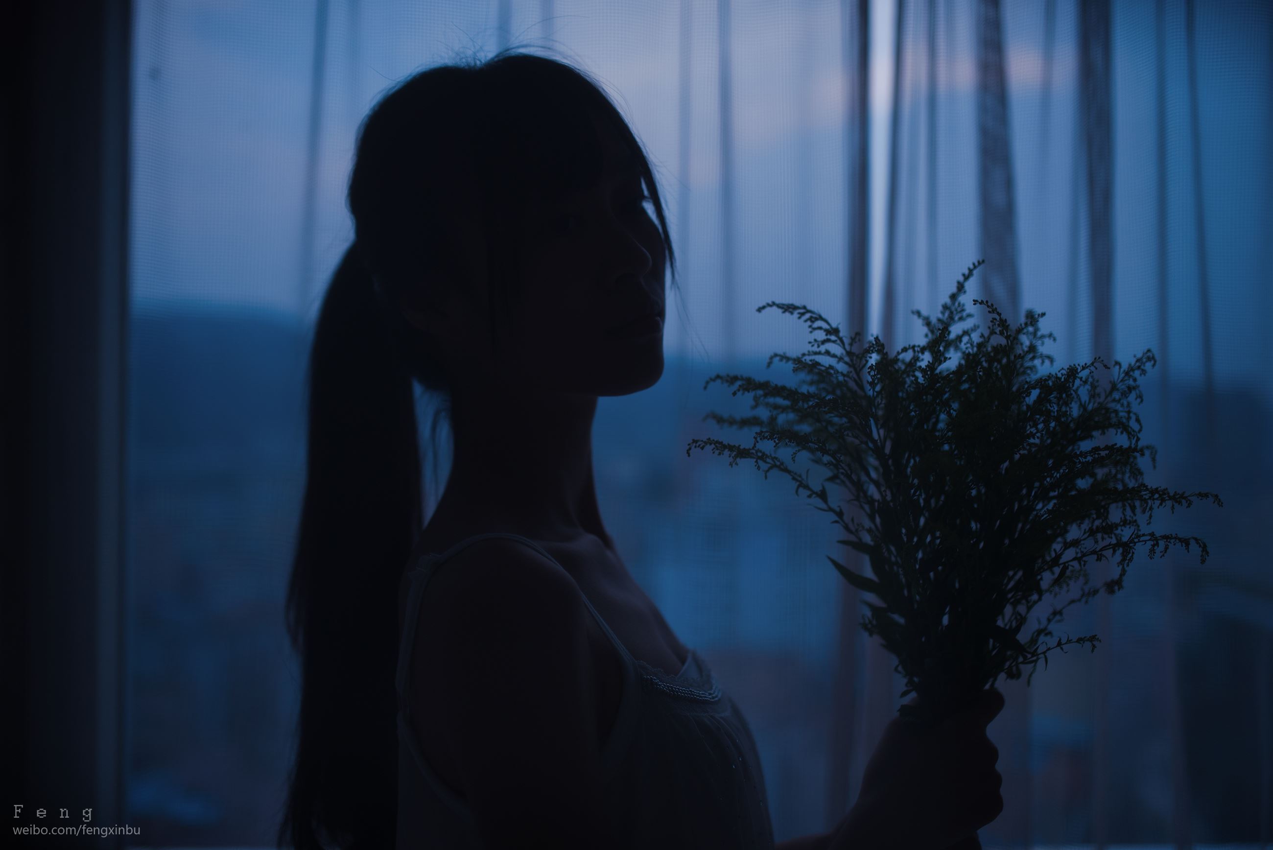 风之领域 美女图片写真 046