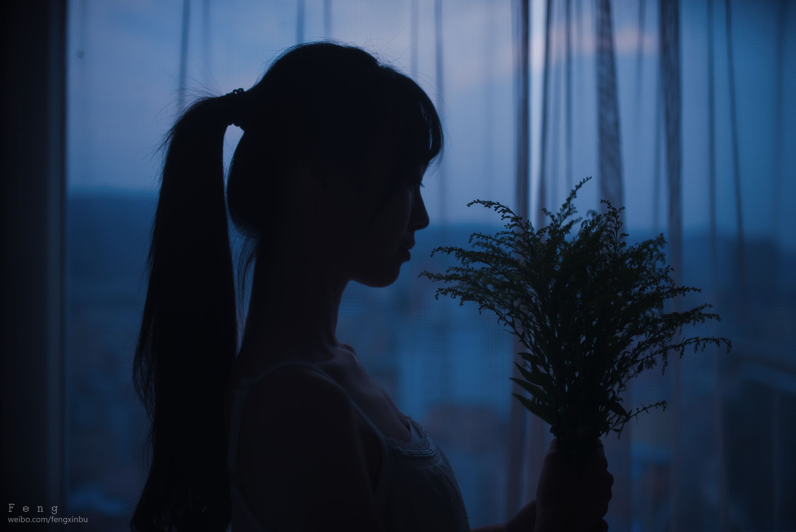 风之领域 美女图片写真 046