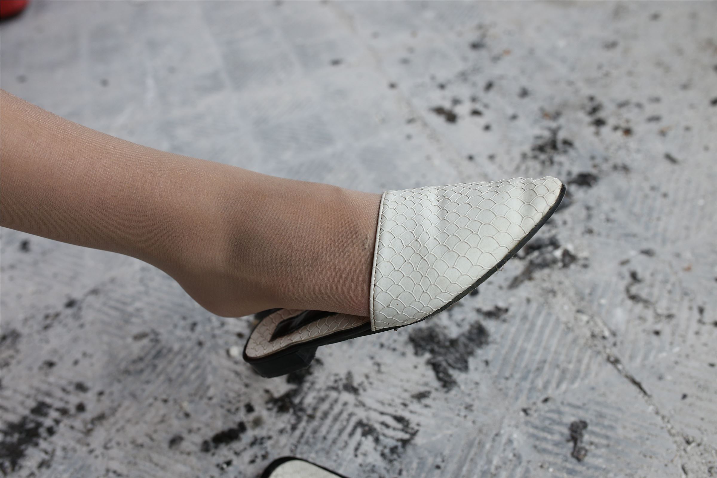 高中生-大西瓜套图 (15)   ZXS-A052