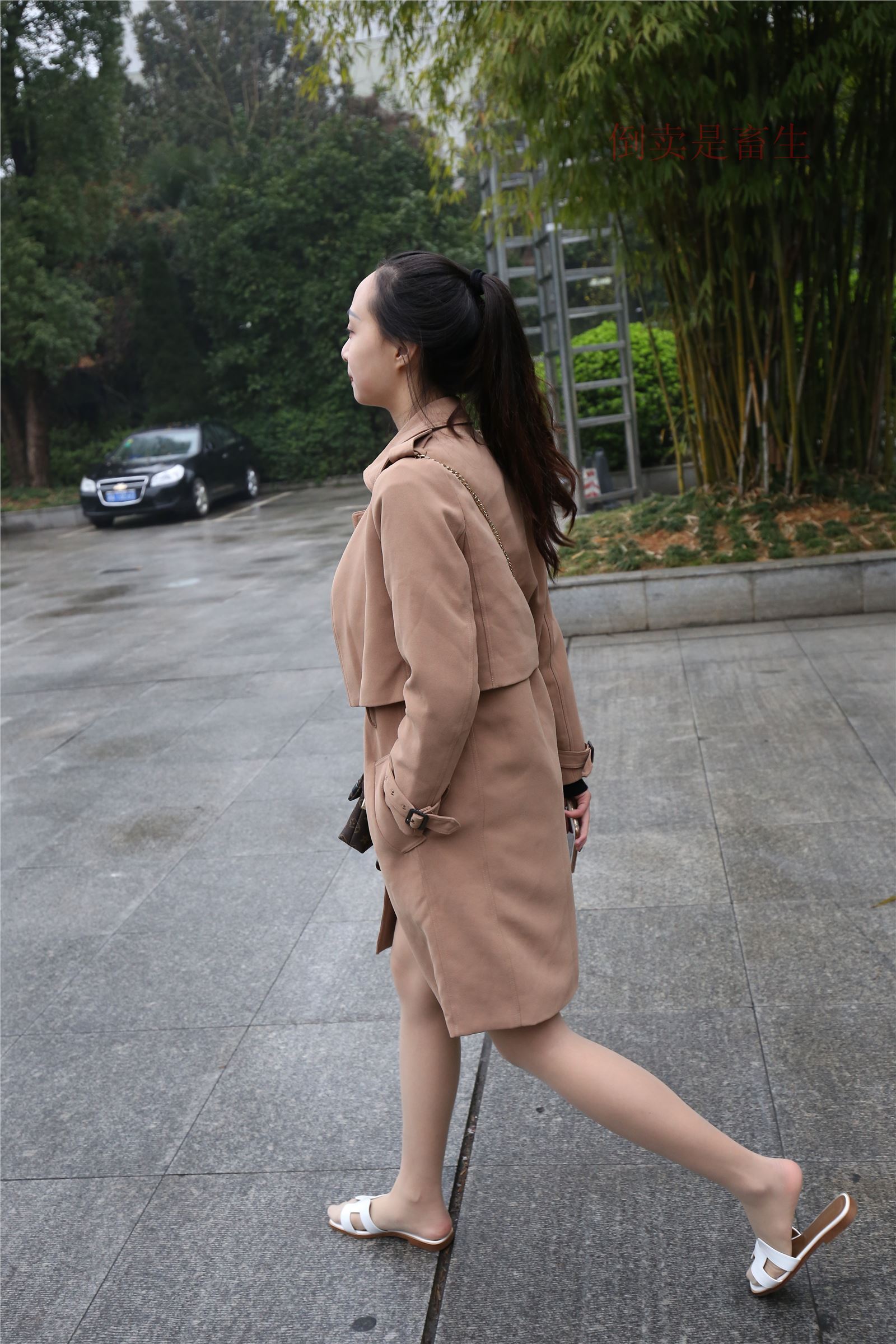 高中生大西瓜套图-(246)  103p   ZXS-H006