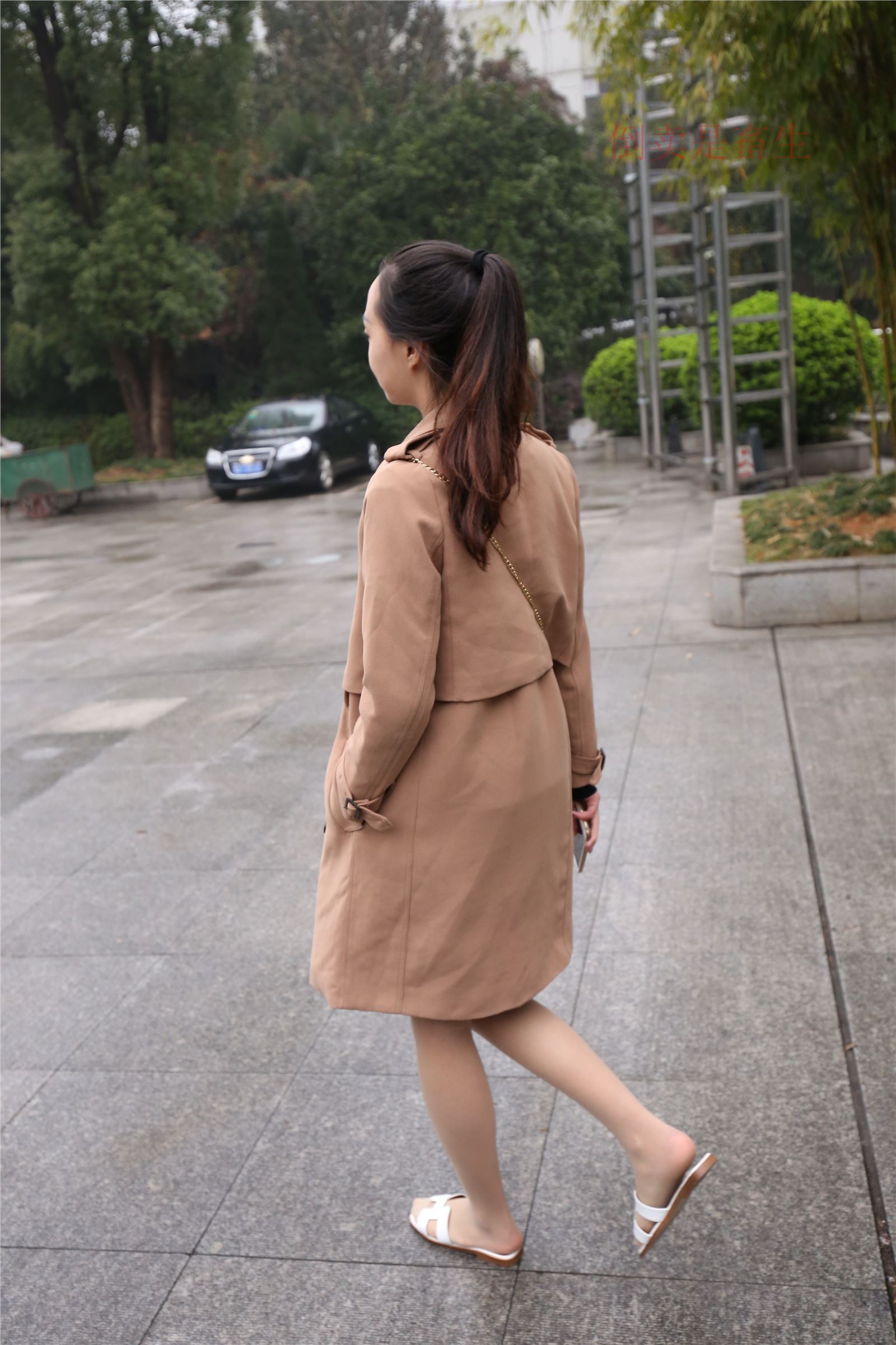 高中生大西瓜套图-(246)  103p   ZXS-H006