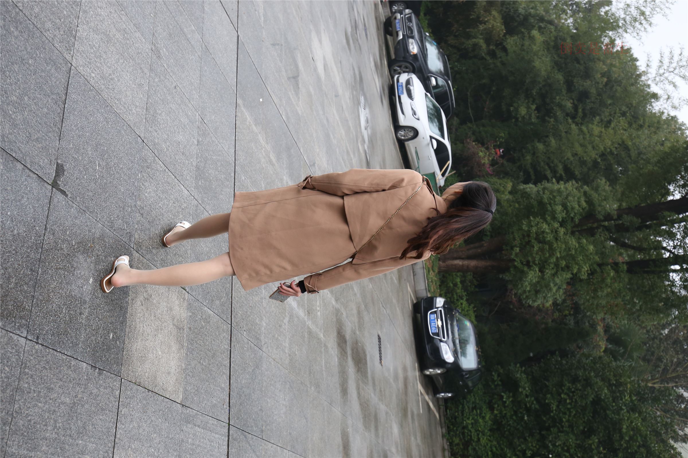 高中生大西瓜套图-(246)  103p   ZXS-H006