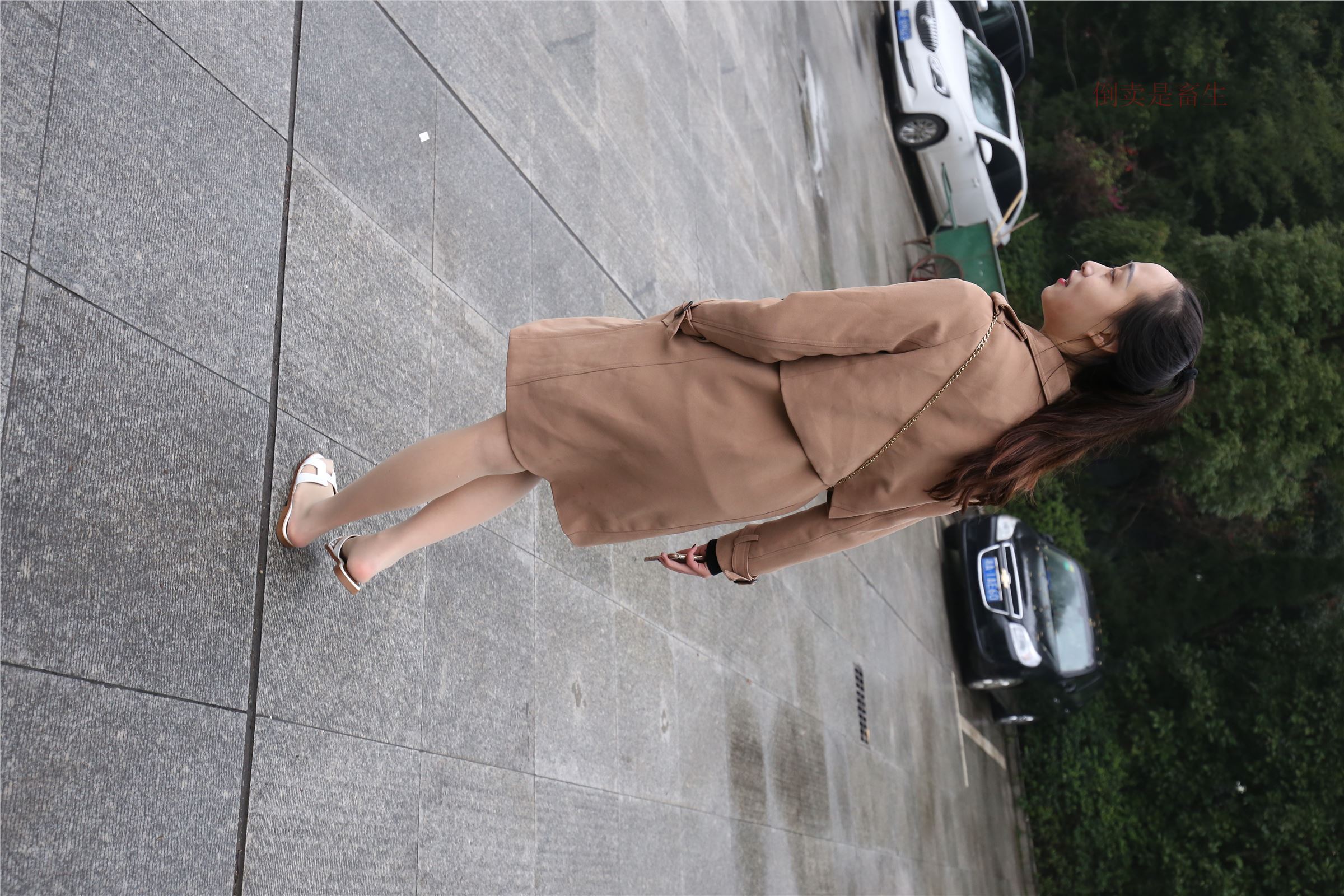 高中生大西瓜套图-(246)  103p   ZXS-H006