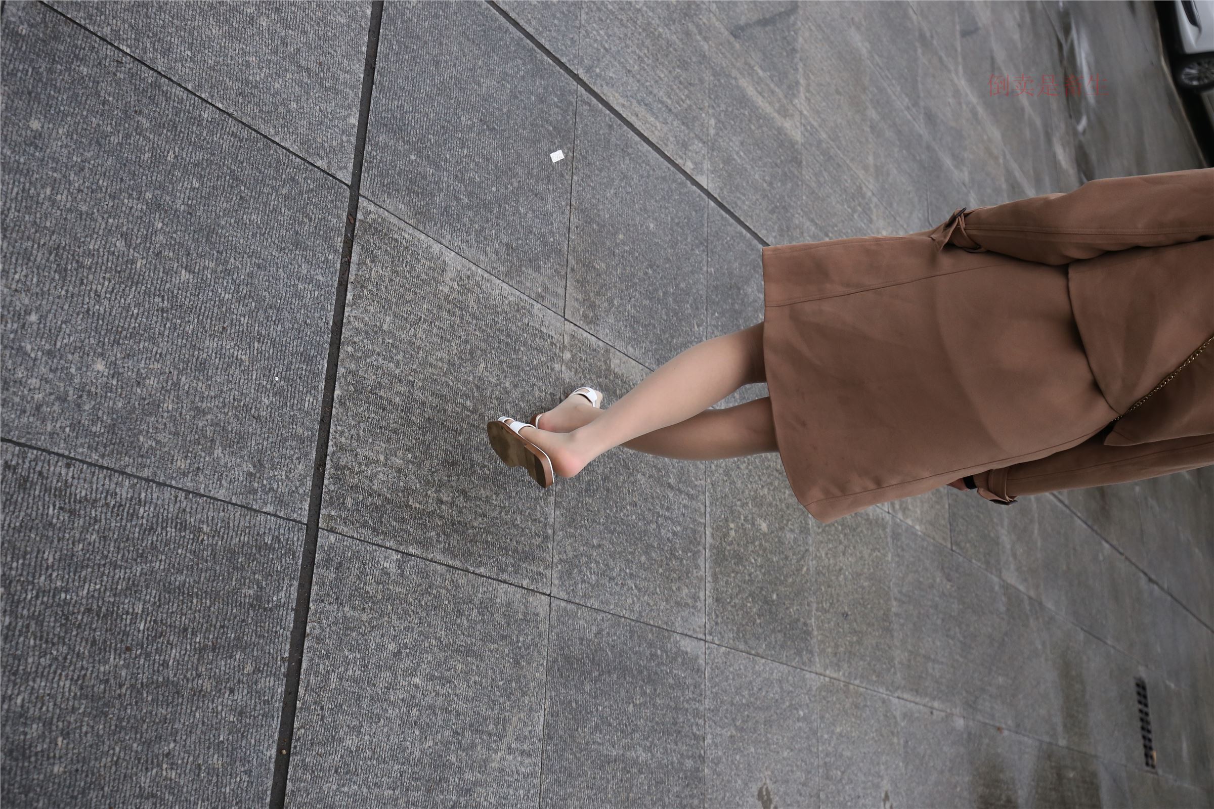 高中生大西瓜套图-(246)  103p   ZXS-H006