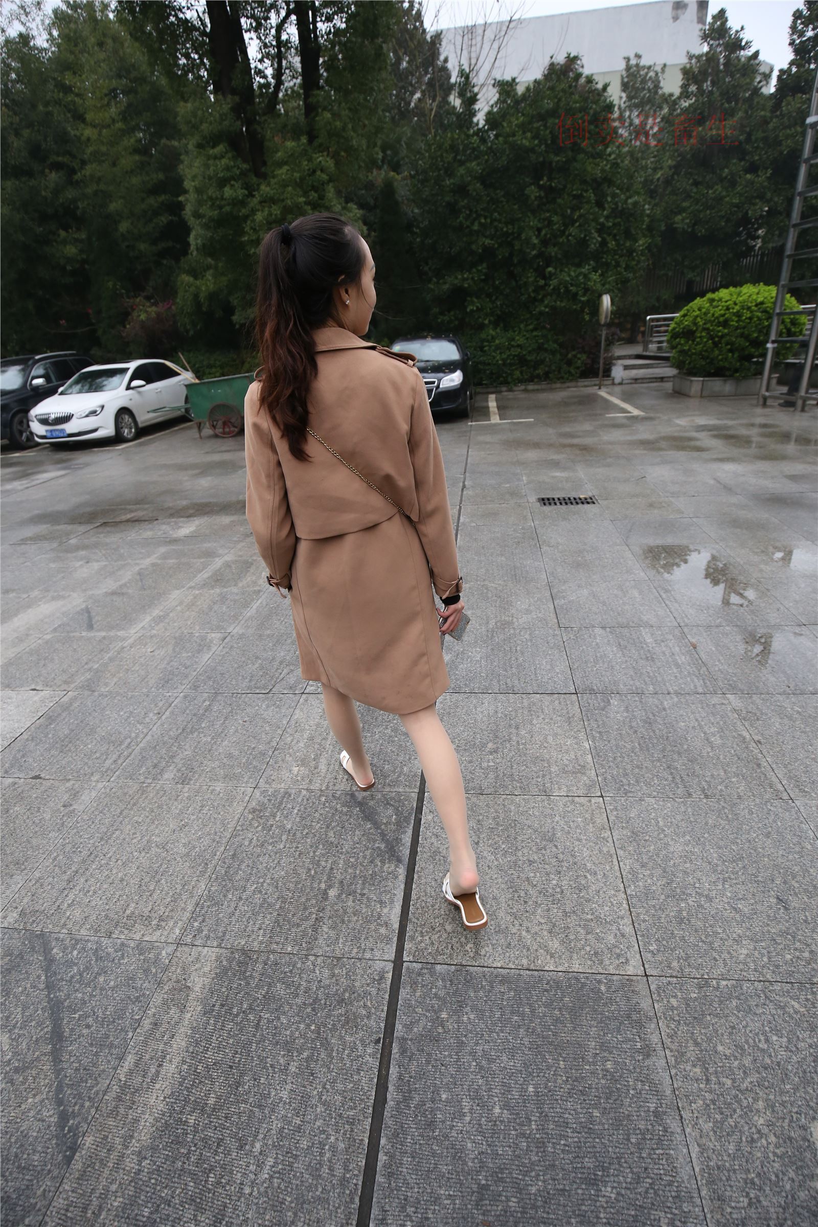 高中生大西瓜套图-(246)  103p   ZXS-H006