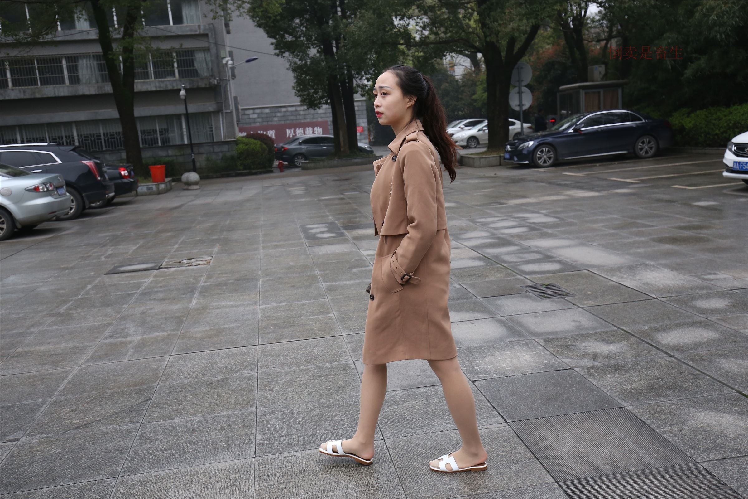 高中生大西瓜套图-(246)  103p   ZXS-H006