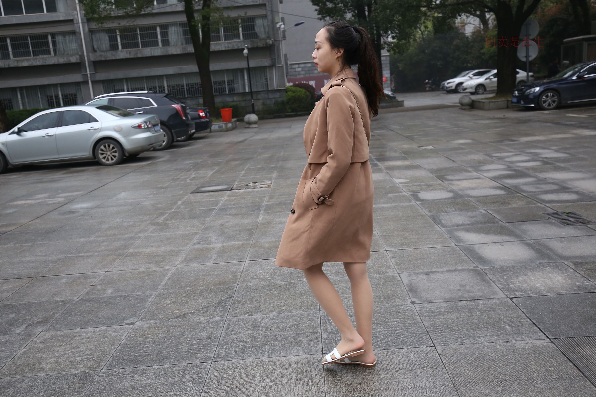 高中生大西瓜套图-(246)  103p   ZXS-H006