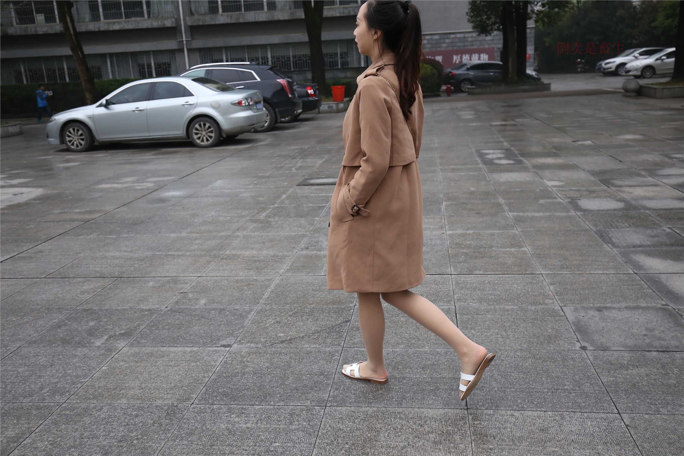 高中生大西瓜套图-(246)  103p   ZXS-H006