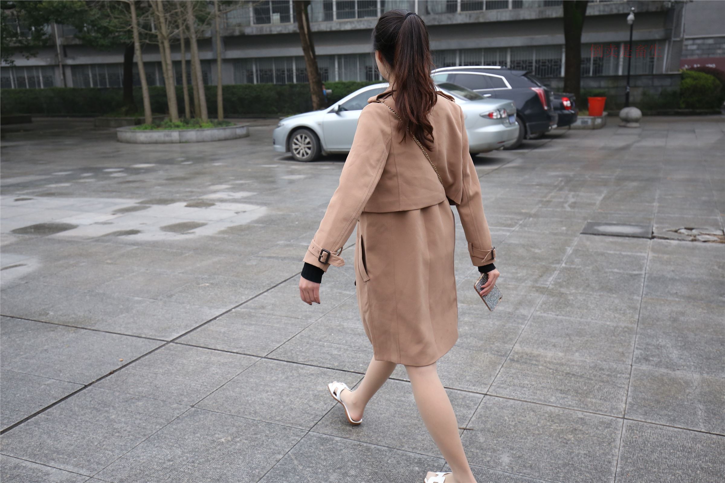 高中生大西瓜套图-(246)  103p   ZXS-H006