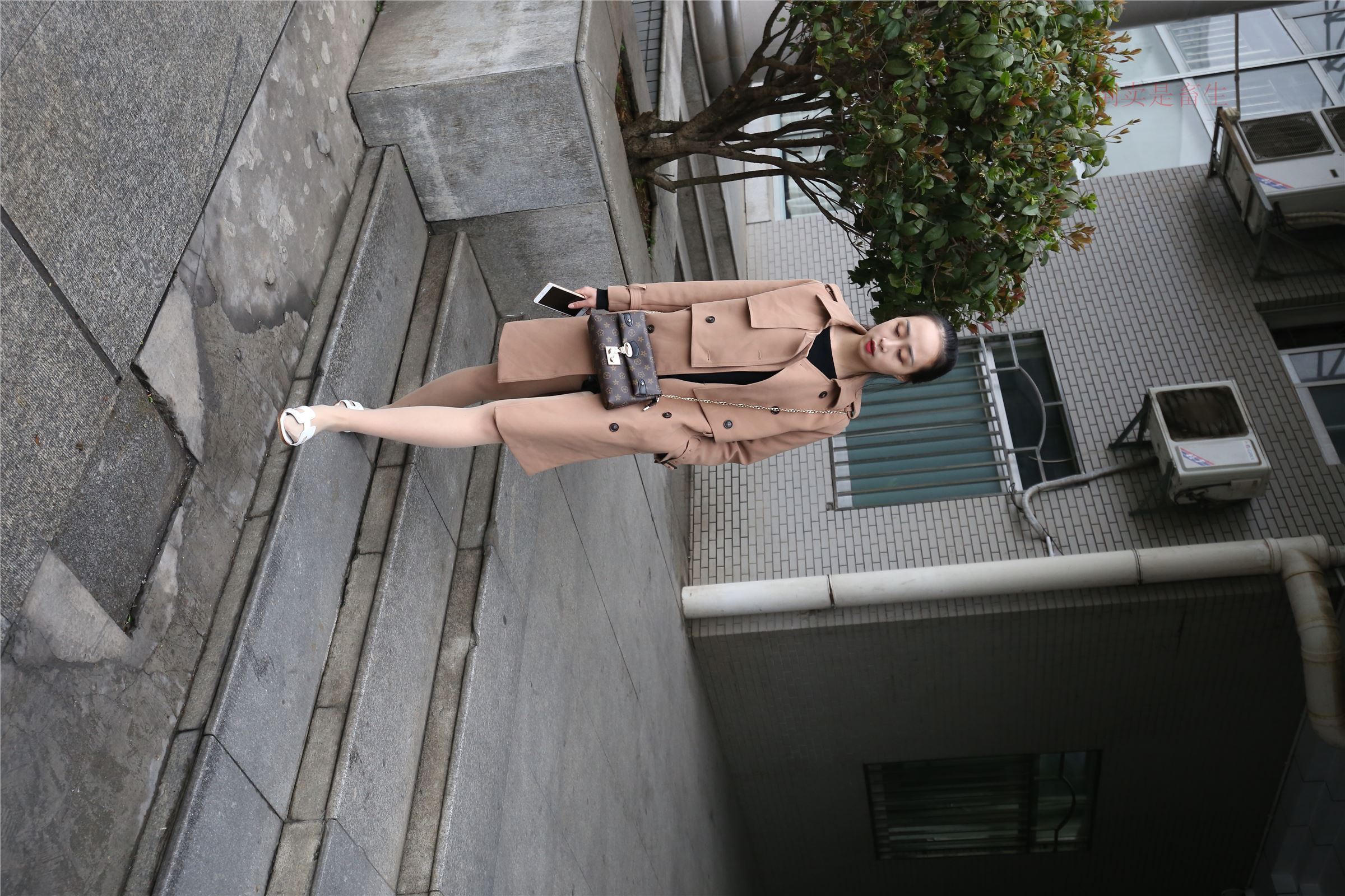 高中生大西瓜套图-(246)  103p   ZXS-H006