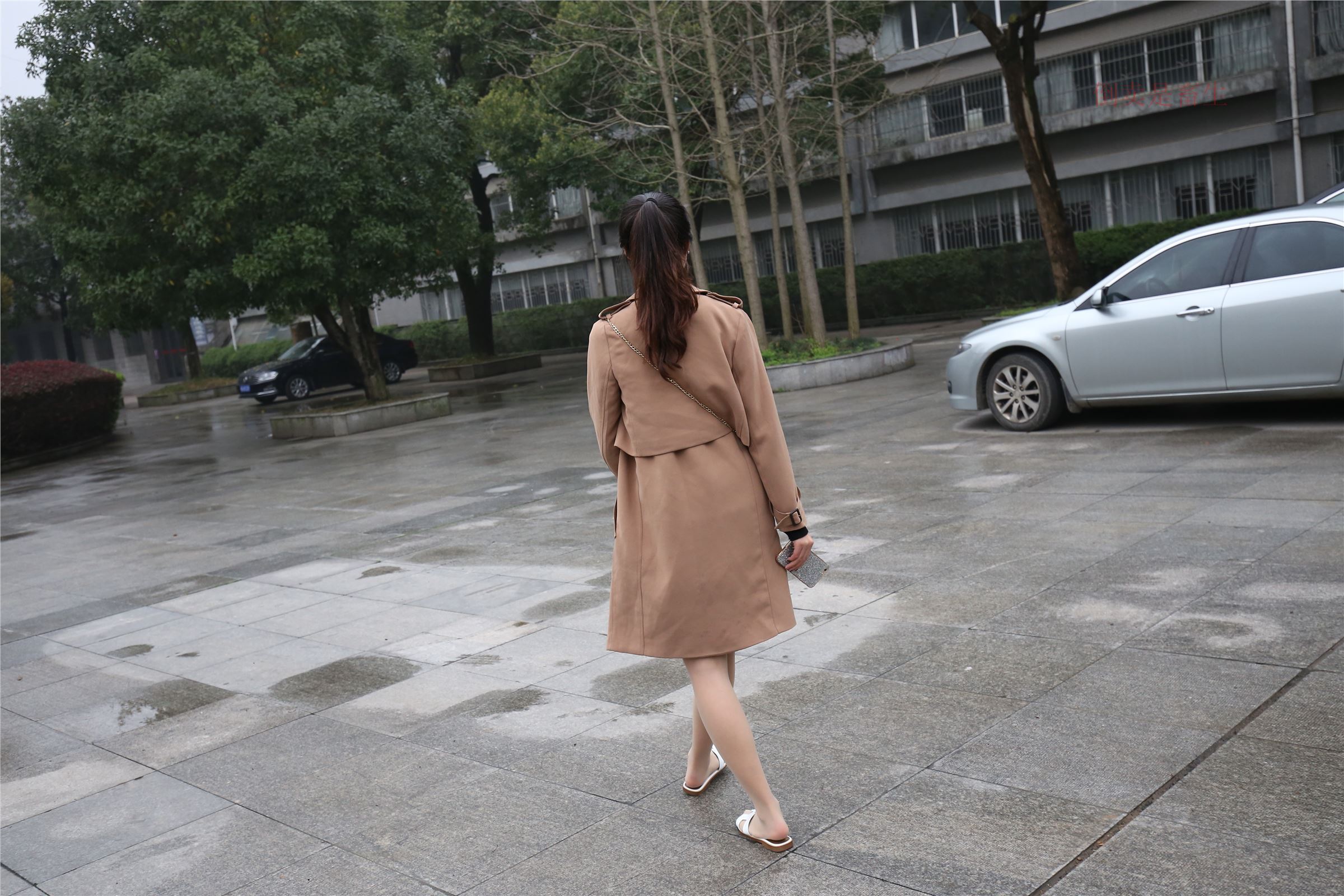 高中生大西瓜套图-(246)  103p   ZXS-H006