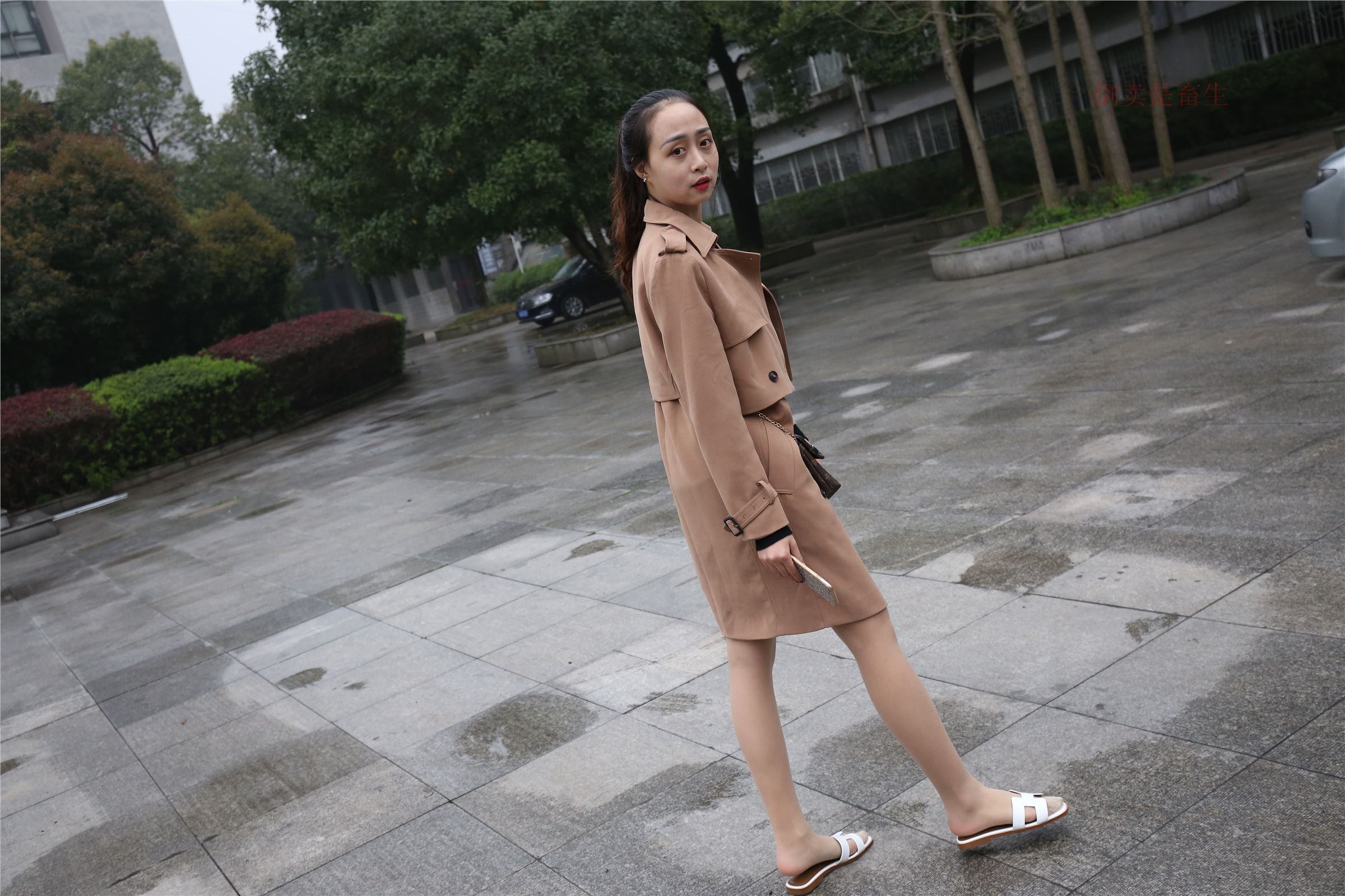 高中生大西瓜套图-(246)  103p   ZXS-H006