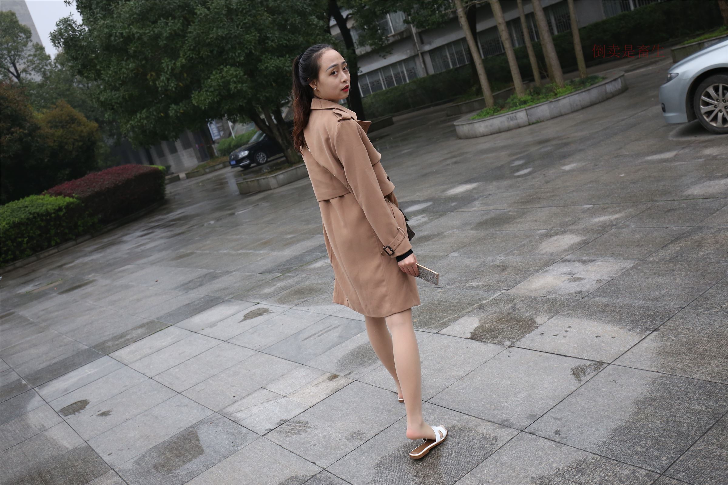 高中生大西瓜套图-(246)  103p   ZXS-H006