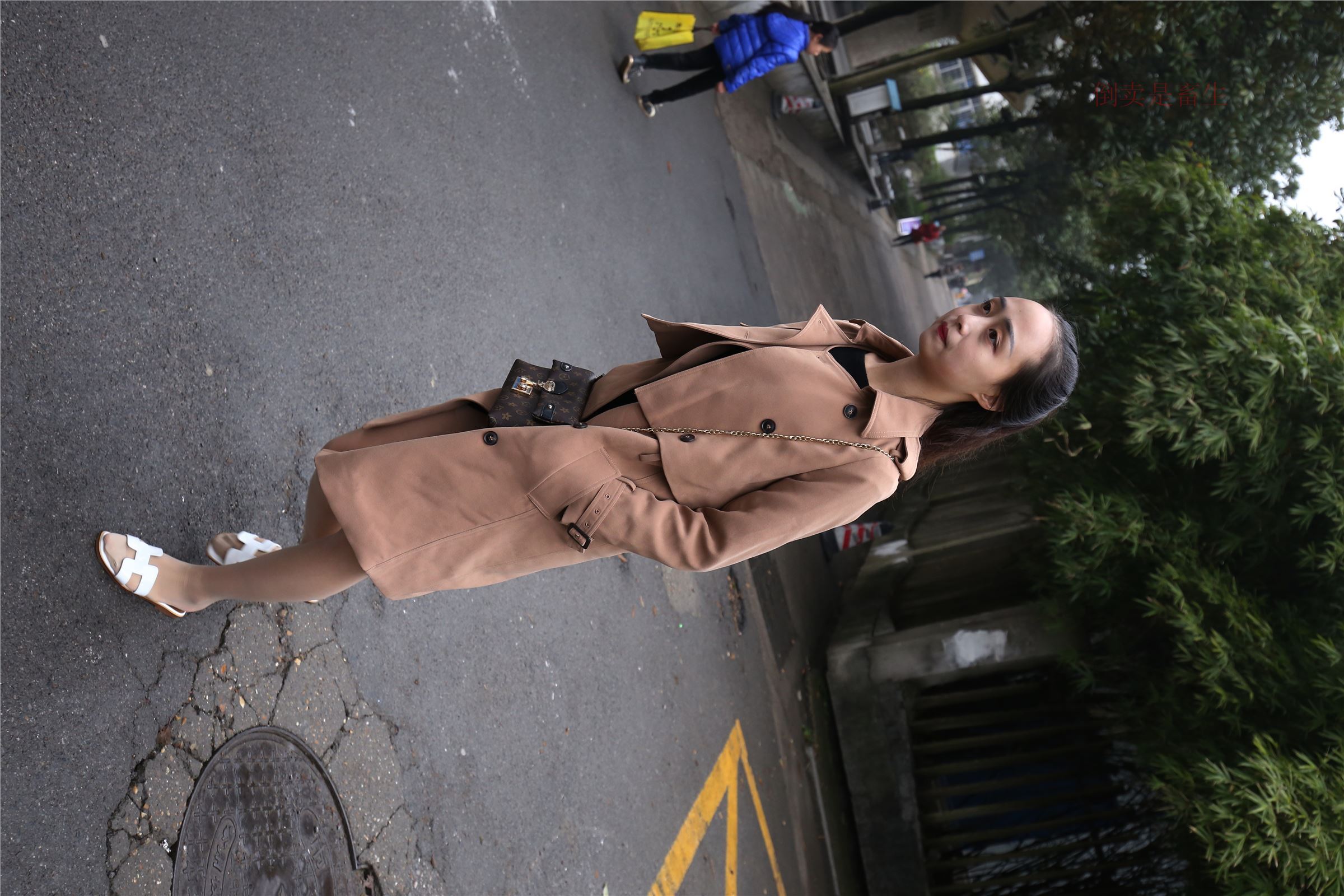 高中生大西瓜套图-(246)  103p   ZXS-H006