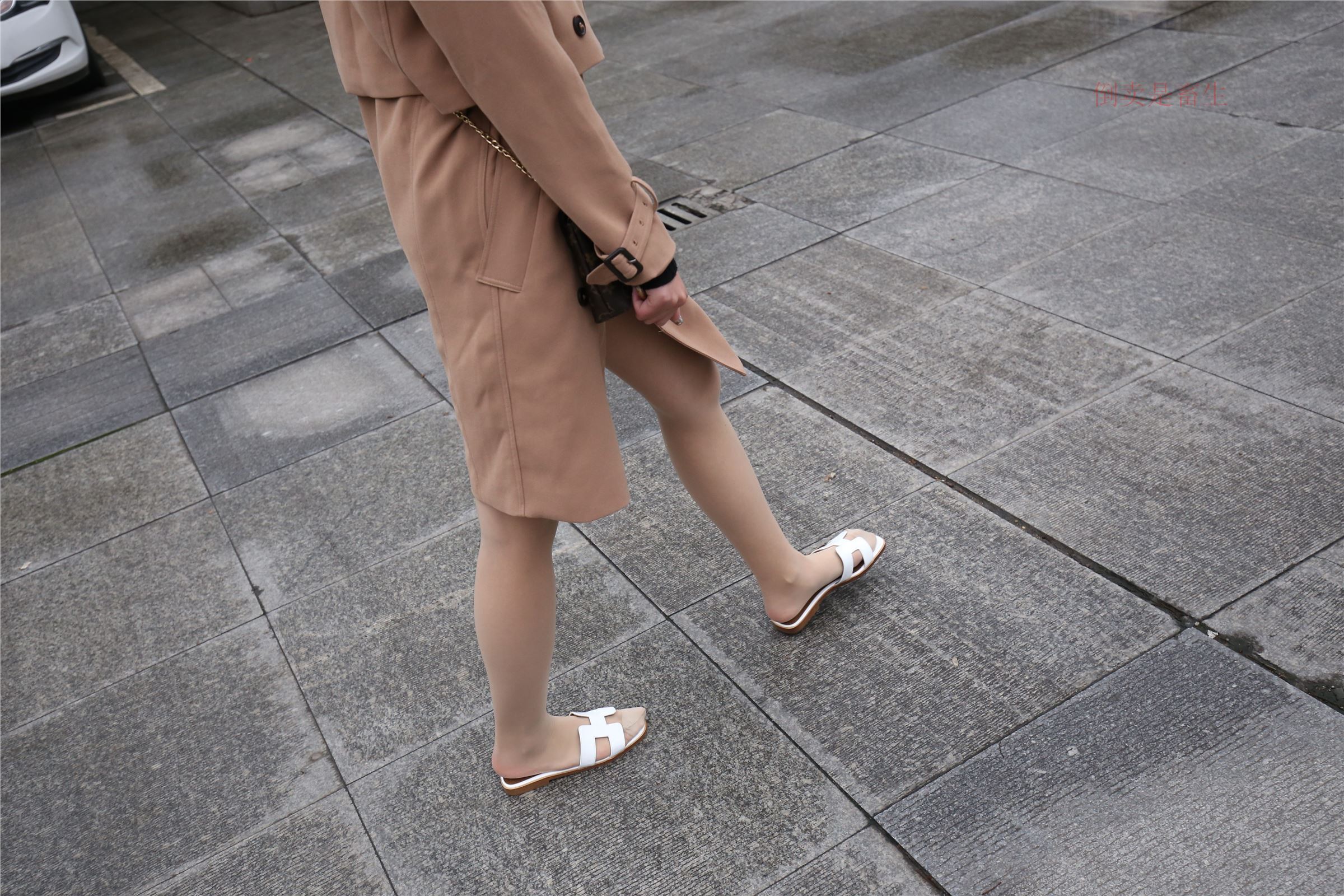 高中生大西瓜套图-(246)  103p   ZXS-H006