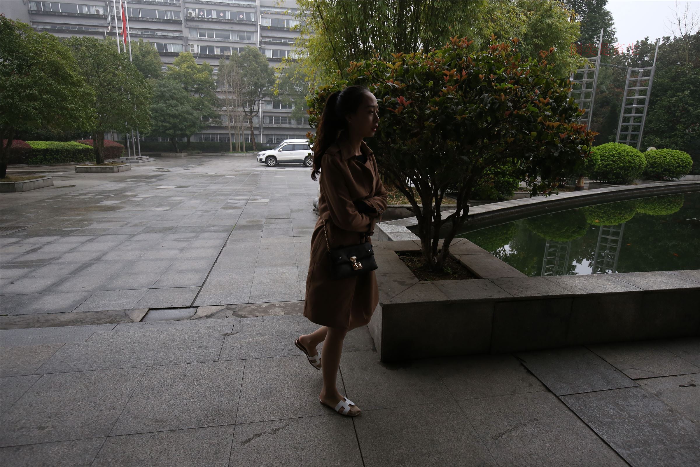 高中生大西瓜套图-(246)  103p   ZXS-H006